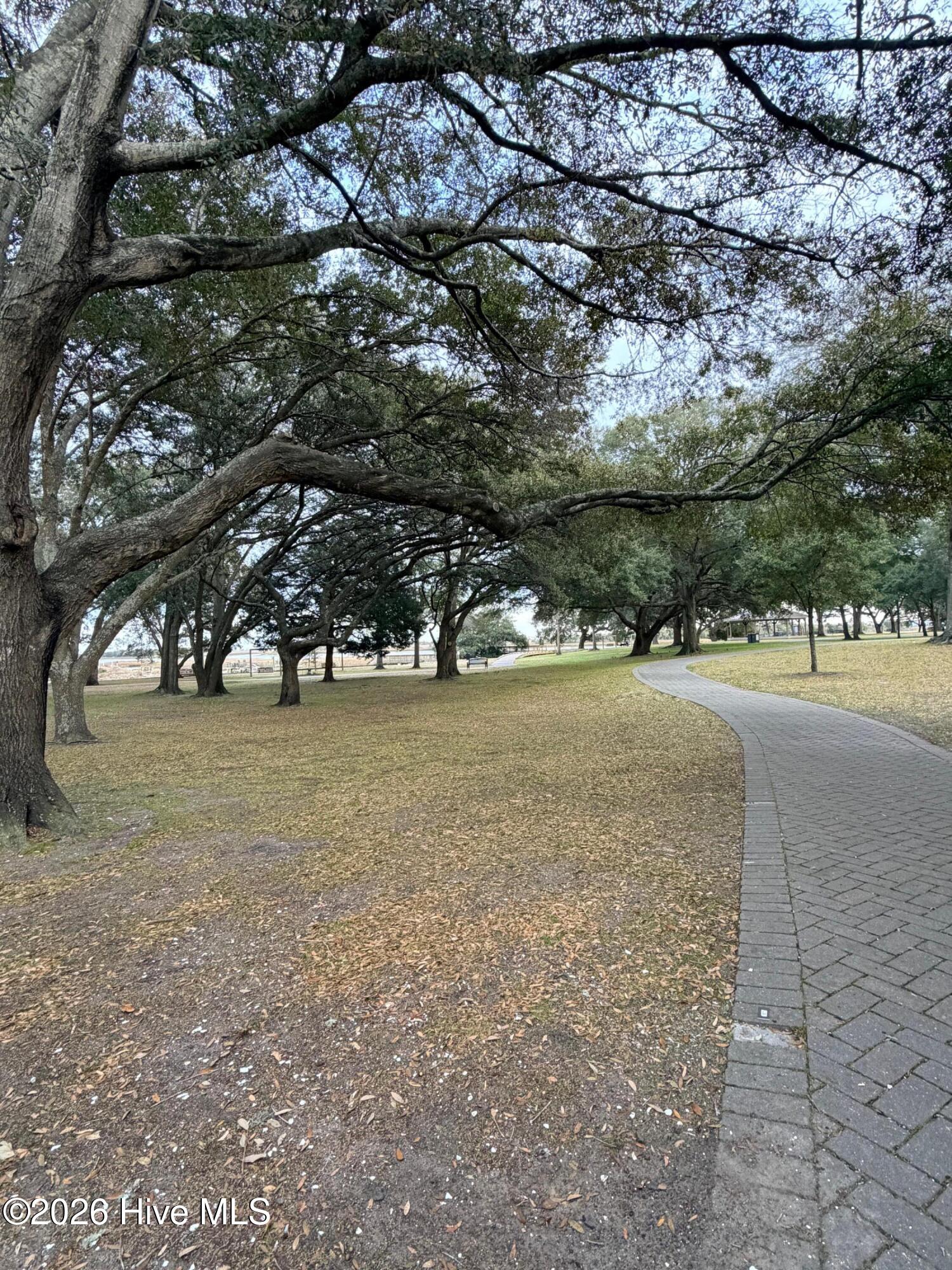 100551081 | Photo 25