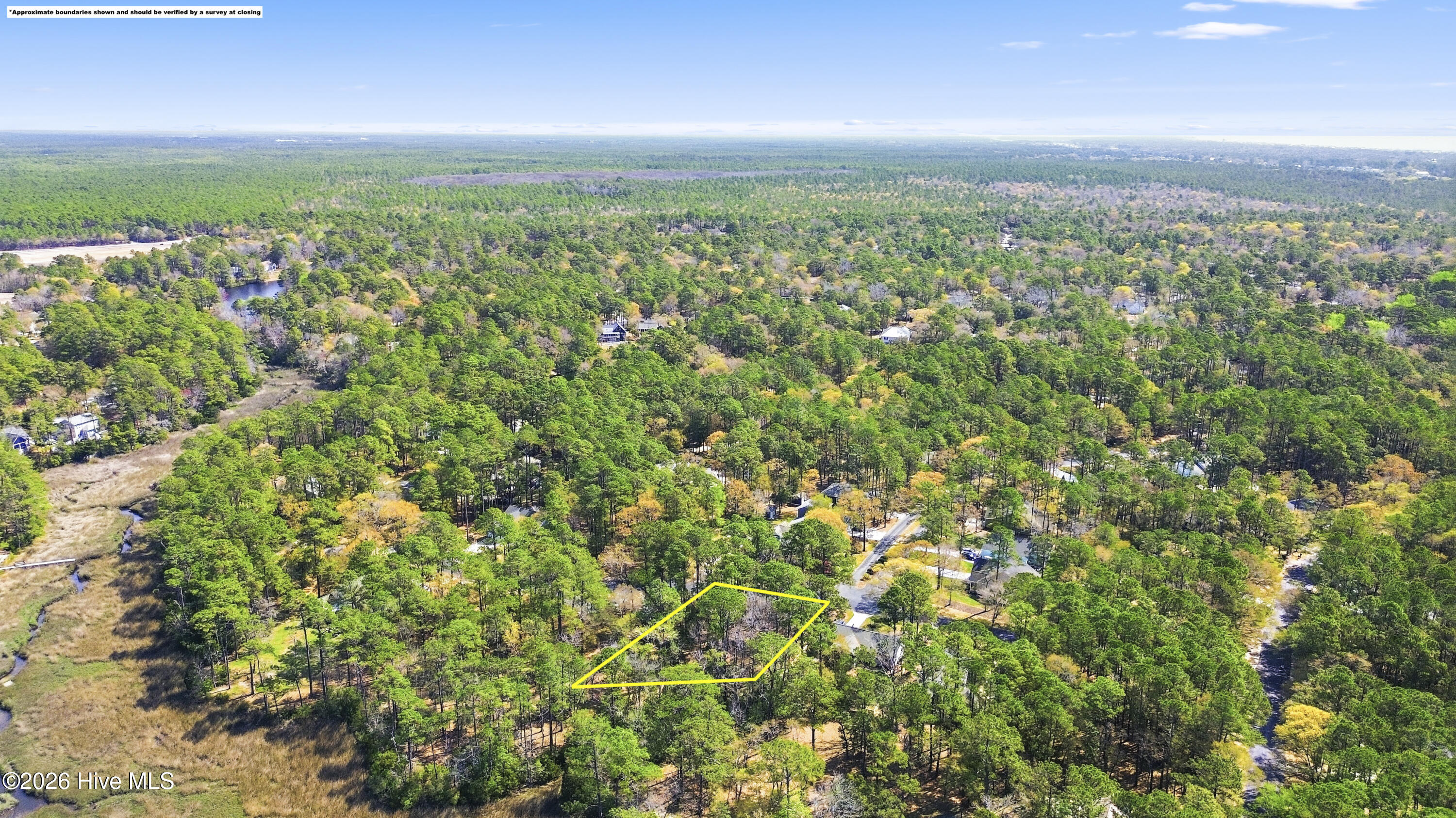 100563683 | Photo 19