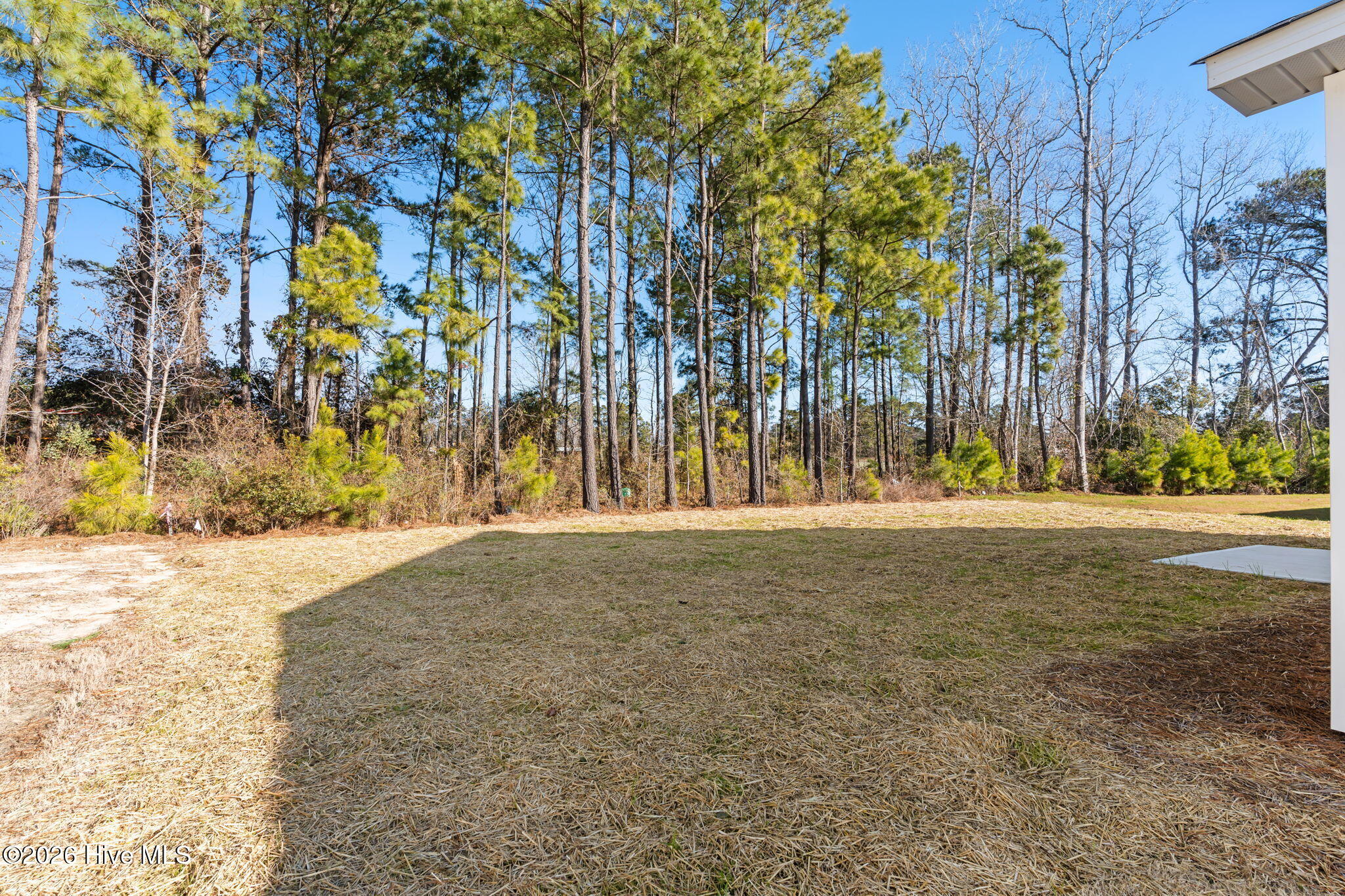 100549751 | Photo 48