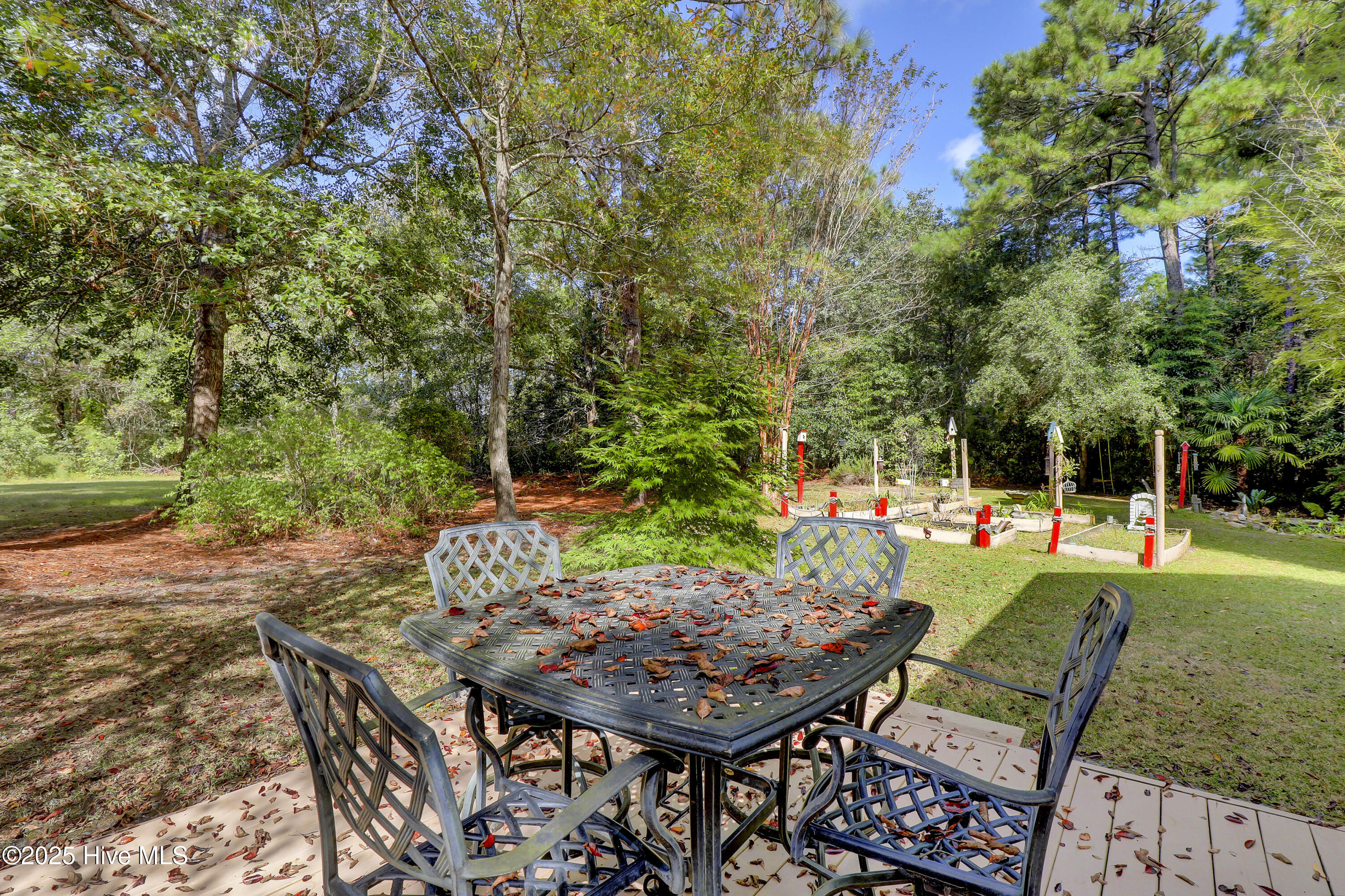 100532986 | Photo 38