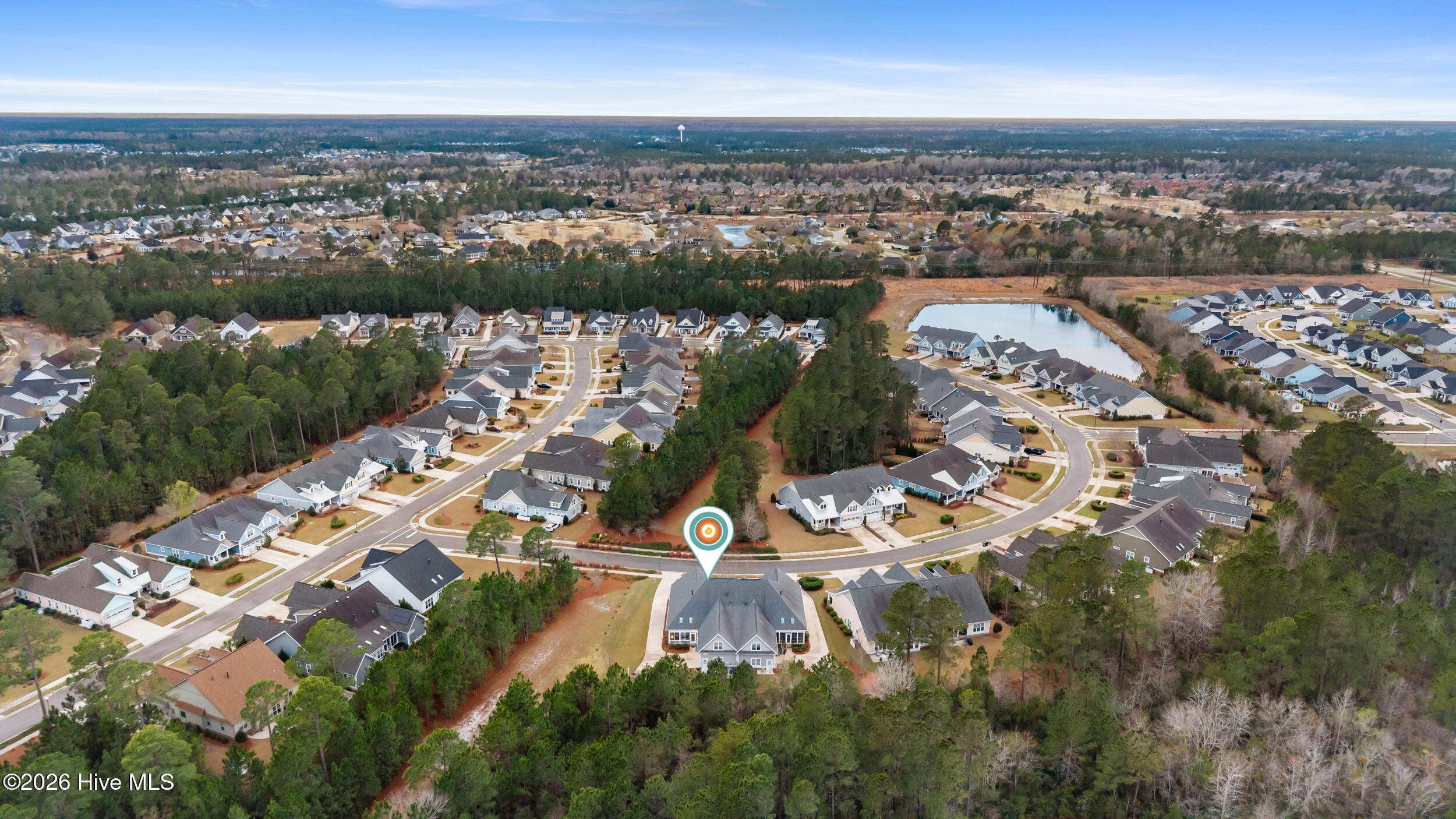 100561173 | Photo 61