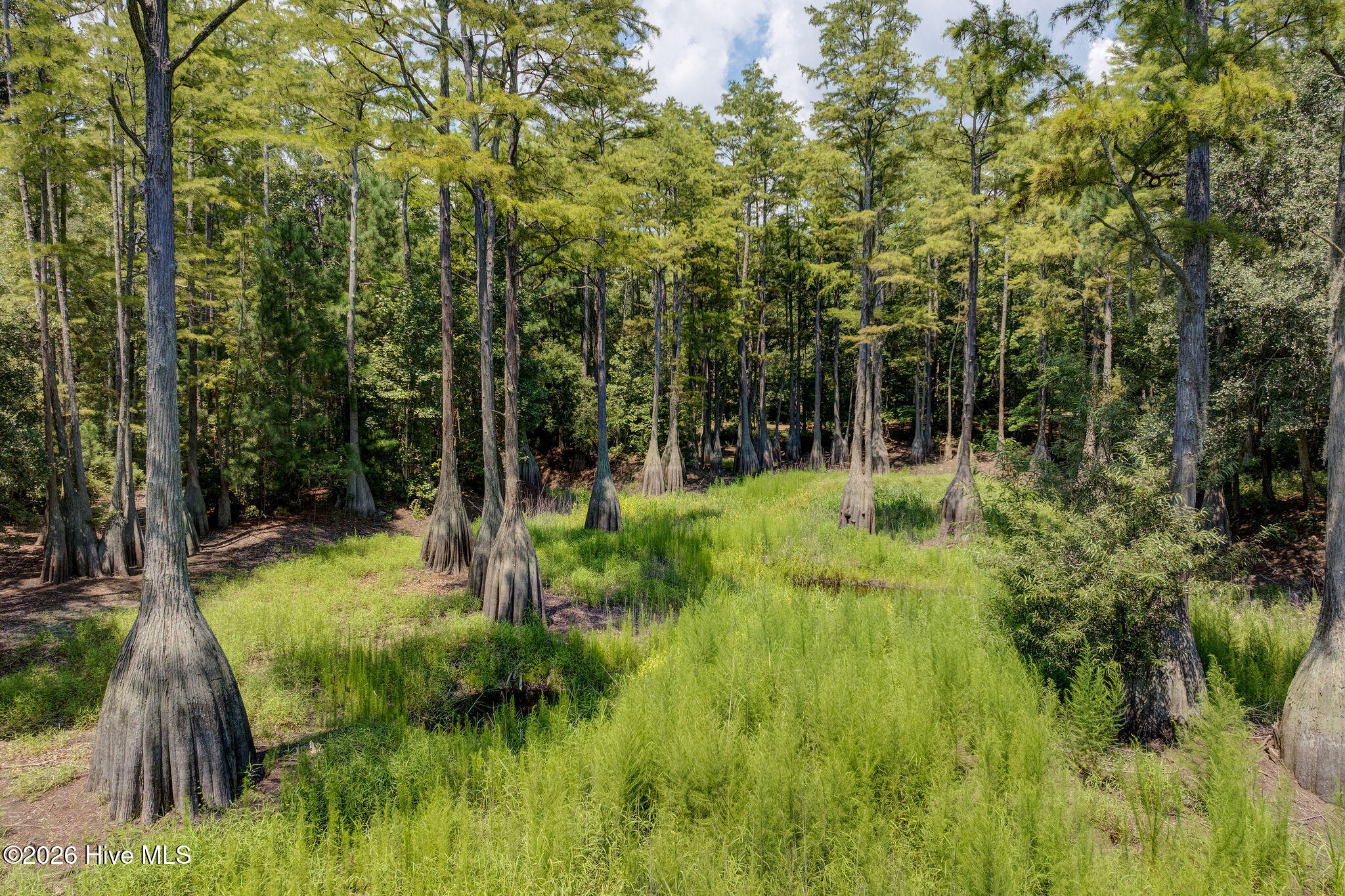 100558109 | Photo 65