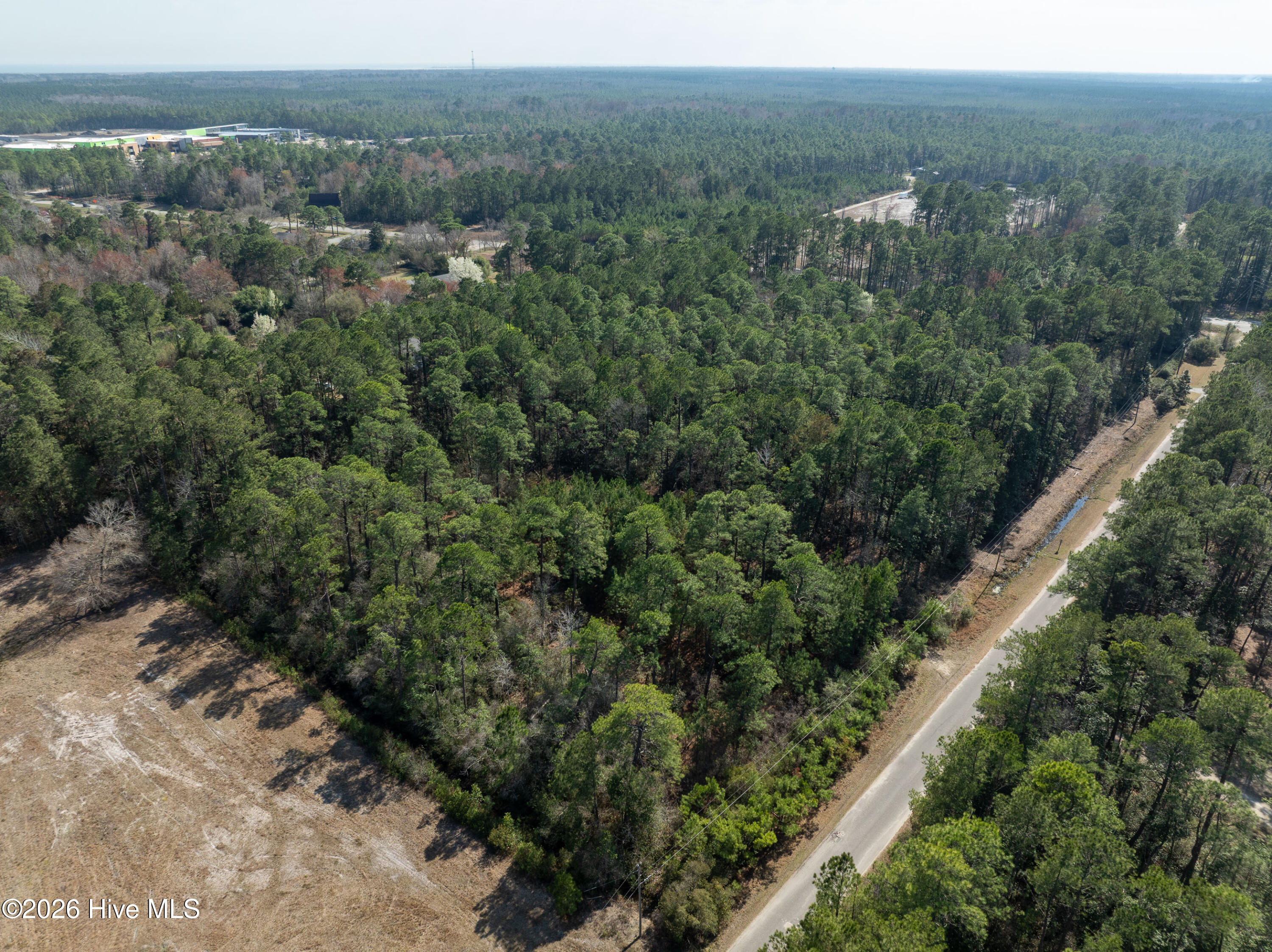 100559861 | Photo 12