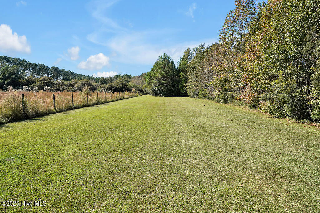 100537845 | Photo 57