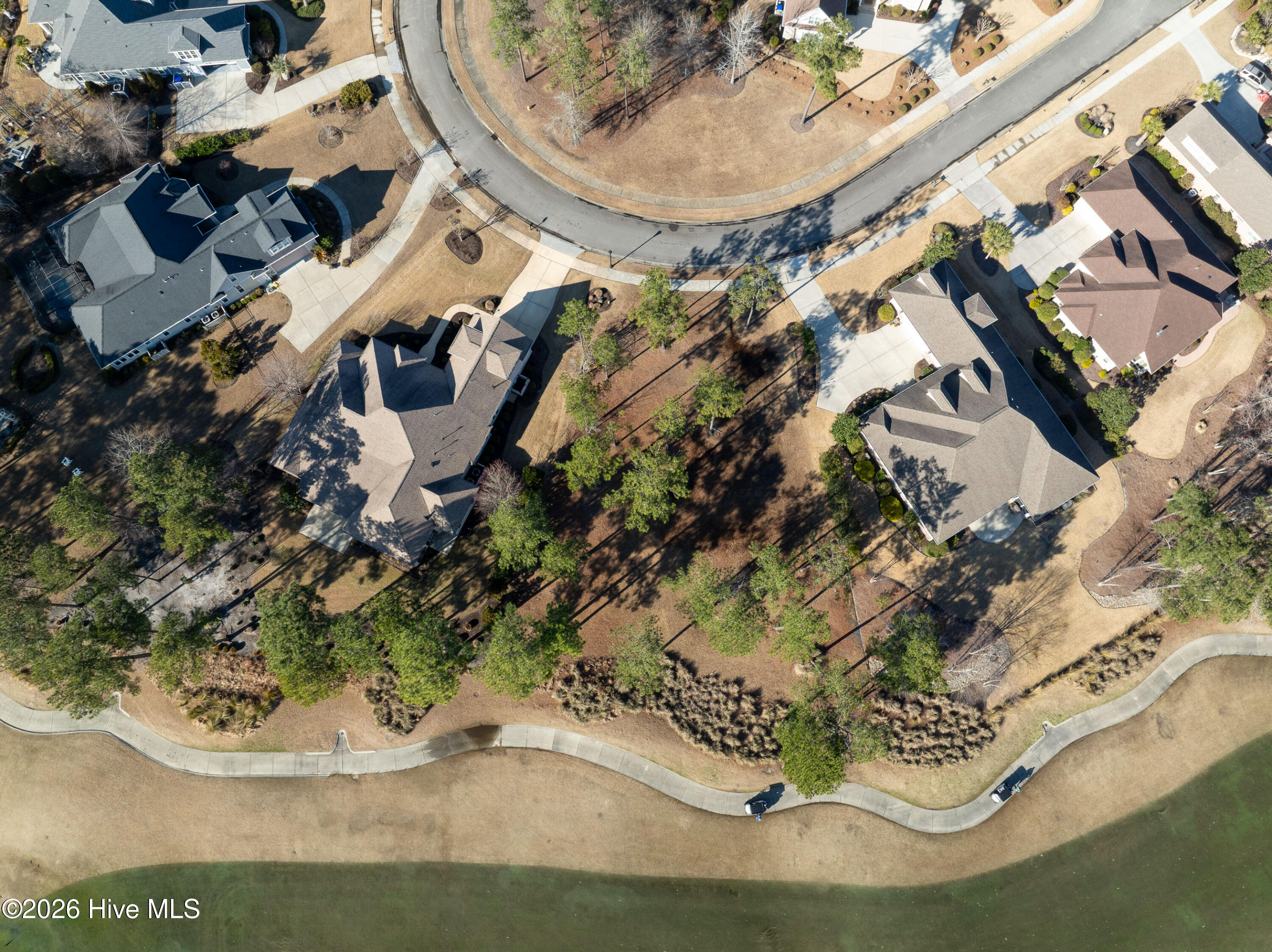 100557146 | Photo 10