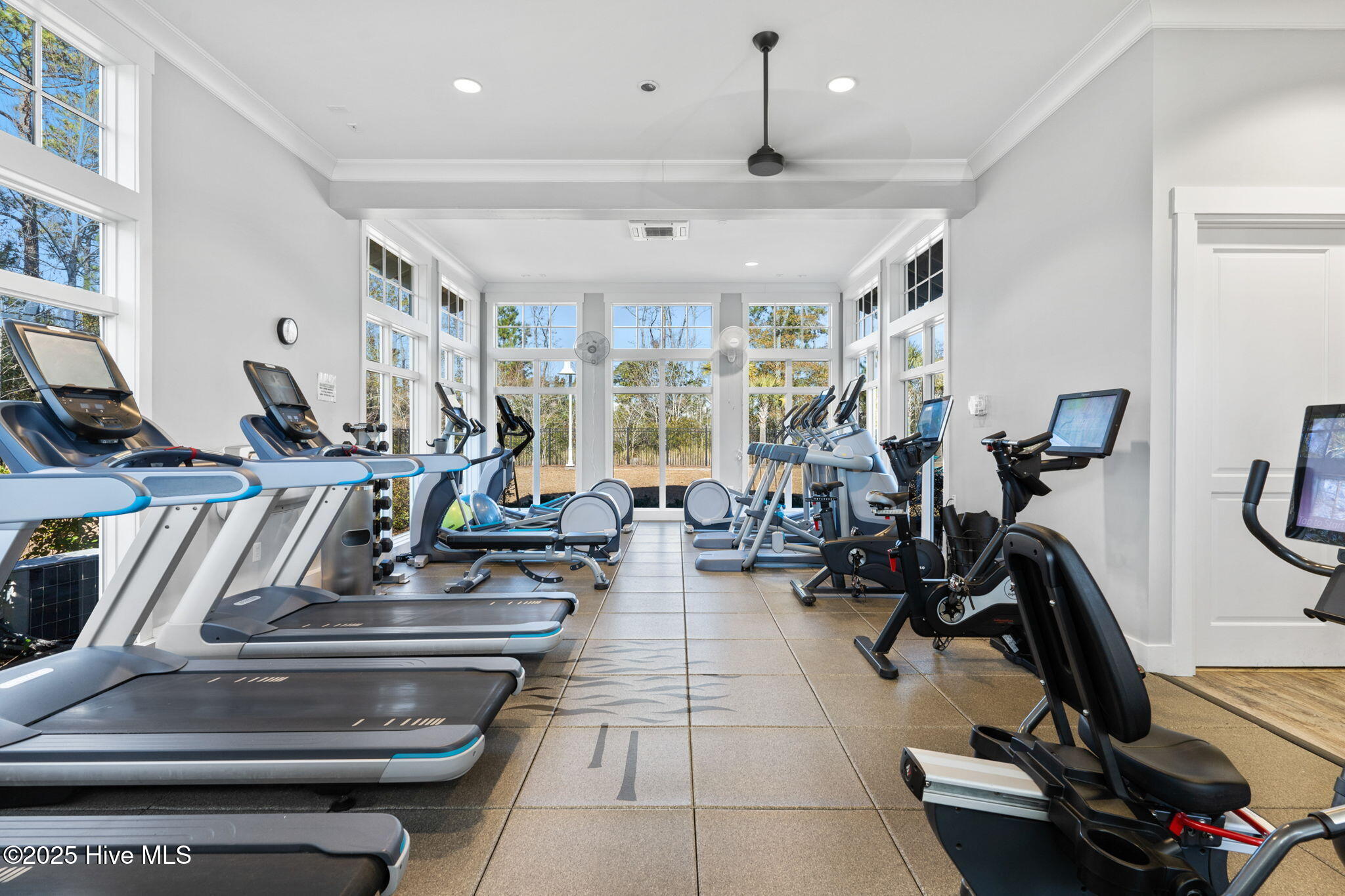 100529487 | Photo 65