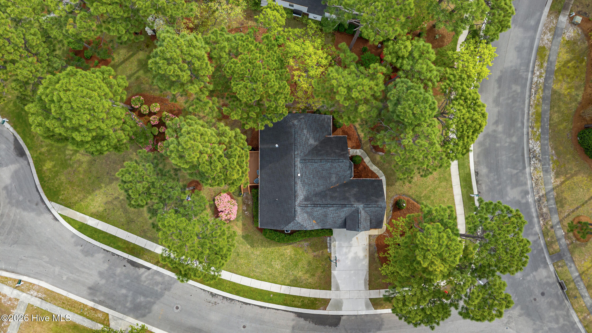 100566645 | Photo 33