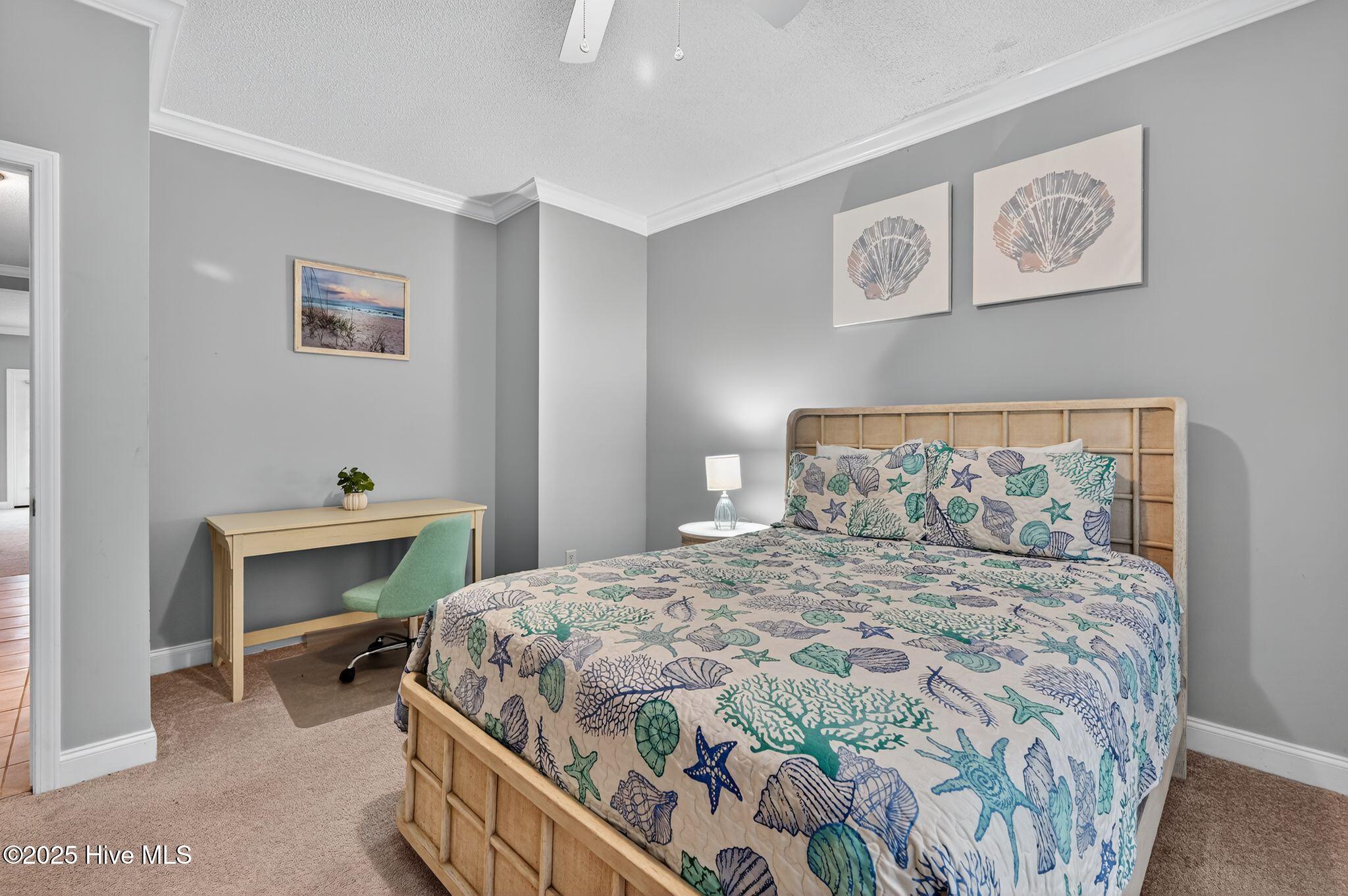 100540046 | Photo 24