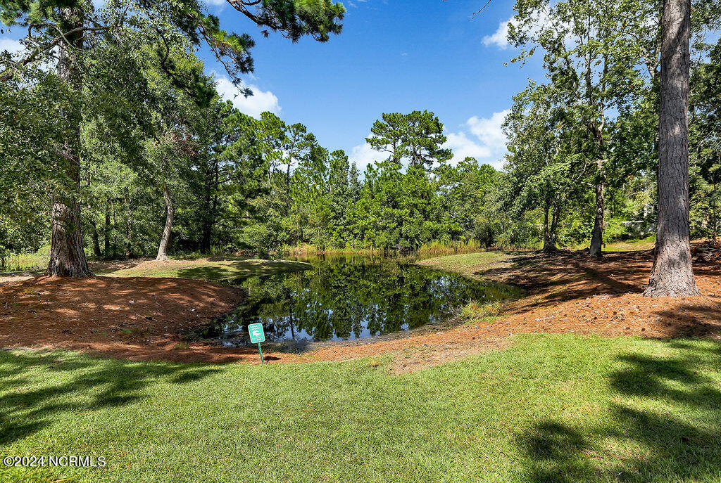 100534061 | Photo 18