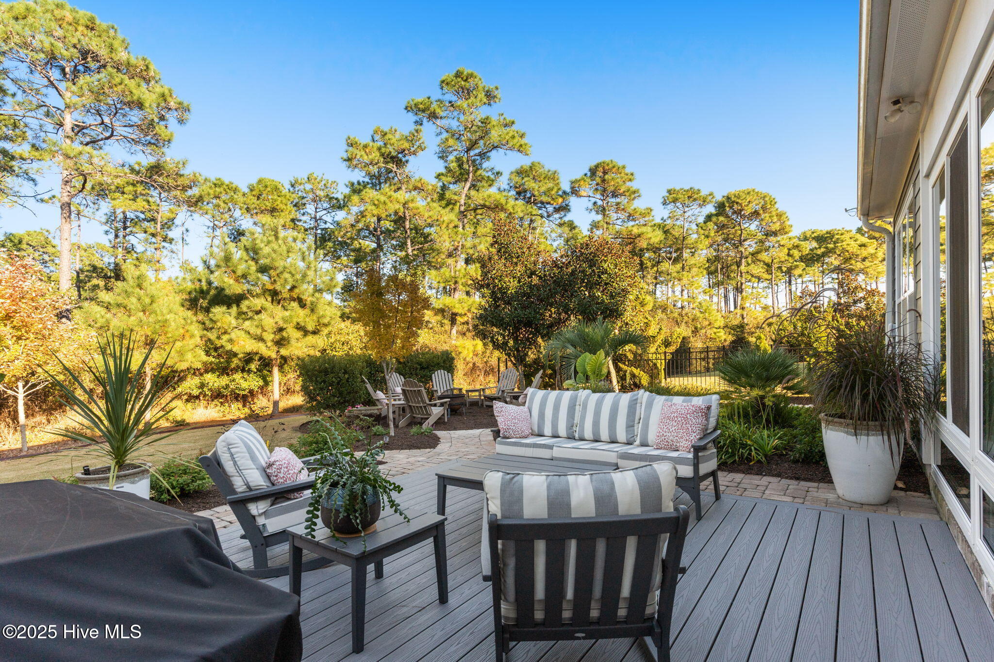 100539203 | Photo 50