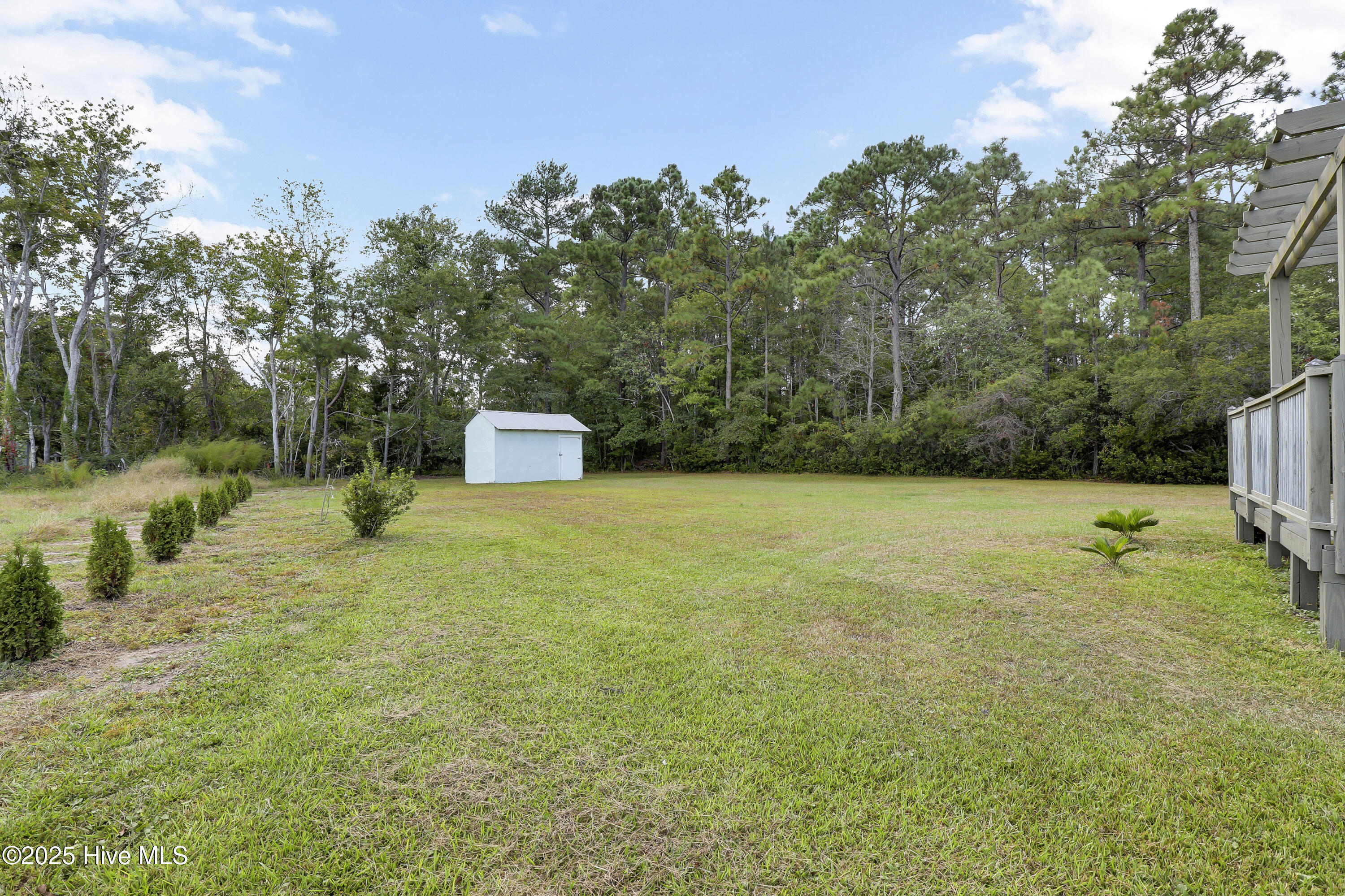 100533401 | Photo 32