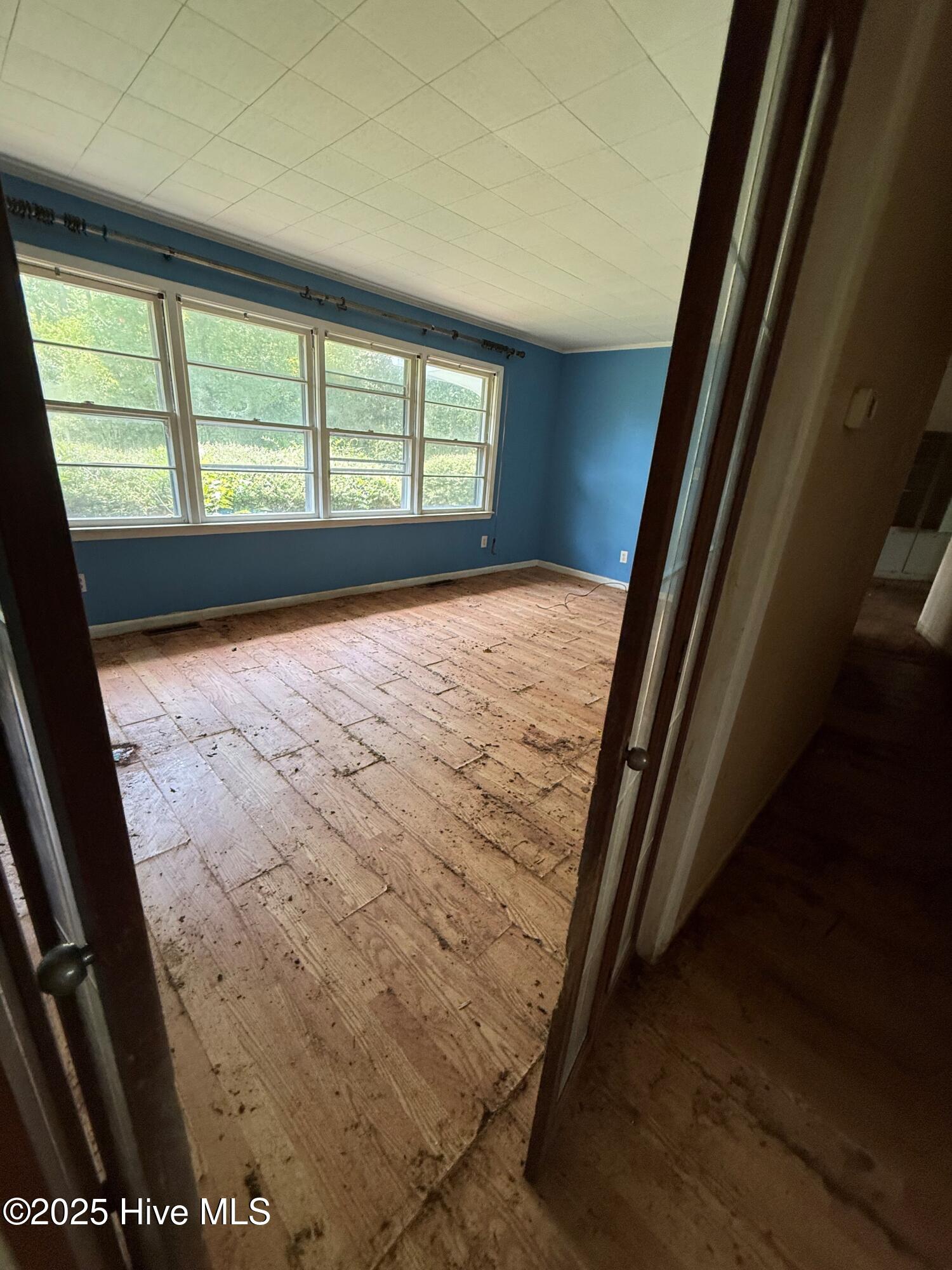 100534429 | Photo 30