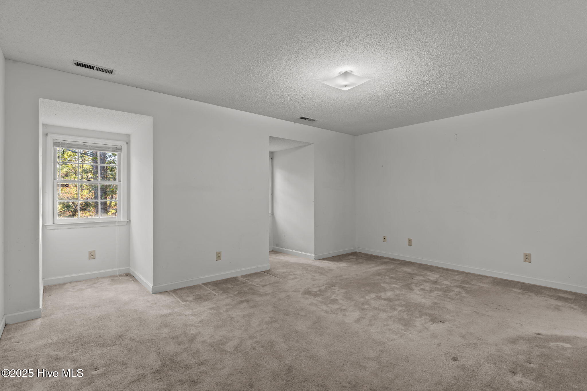 100540294 | Photo 22