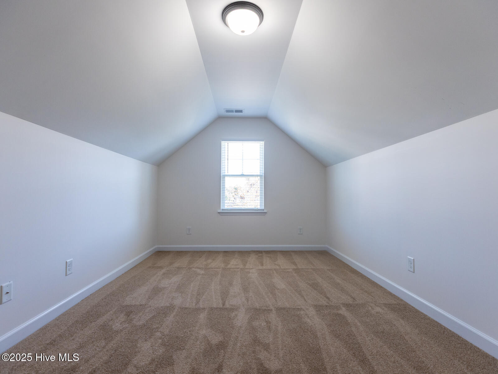 100539425 | Photo 29