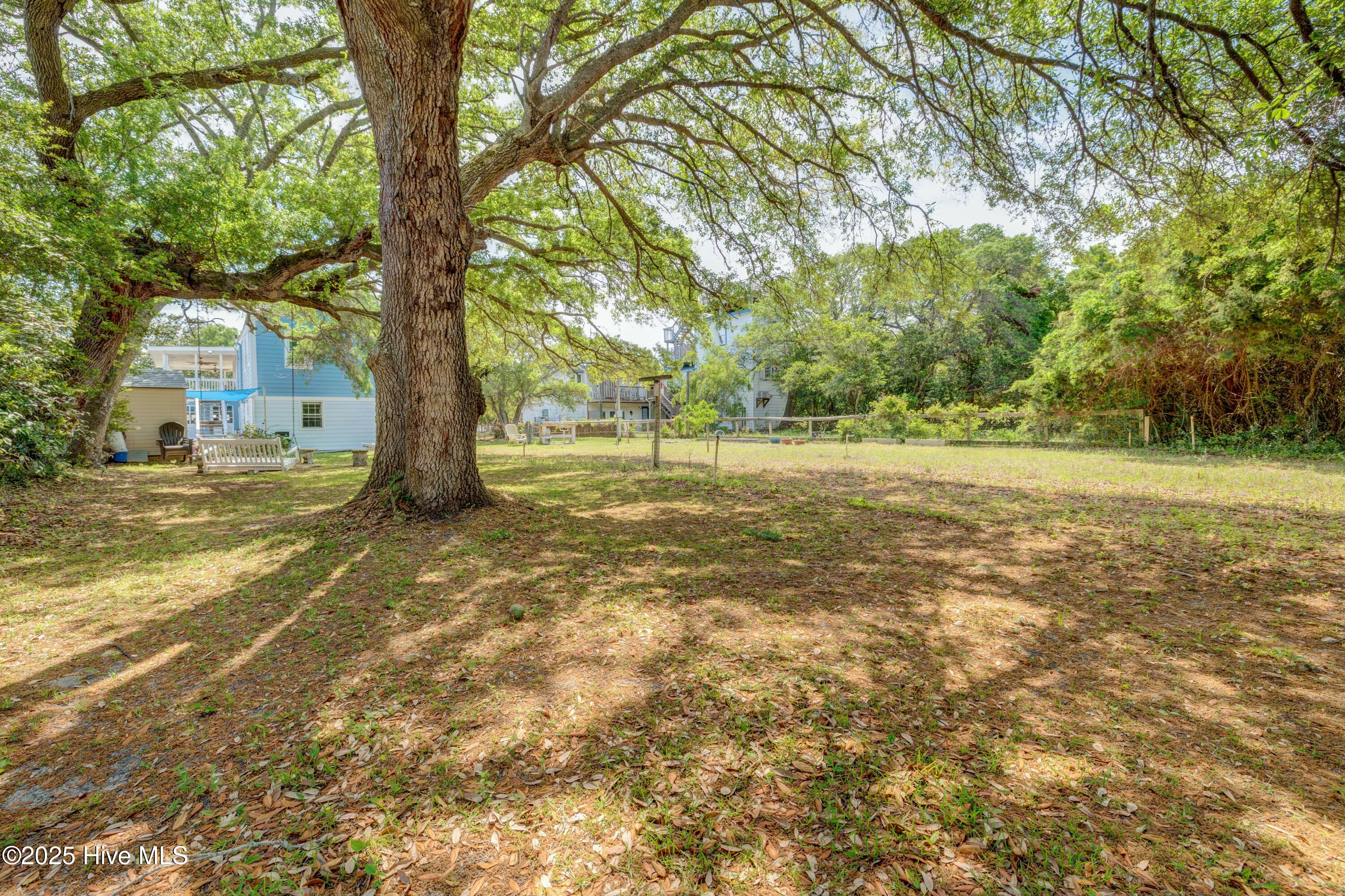 100501642 | Photo 68