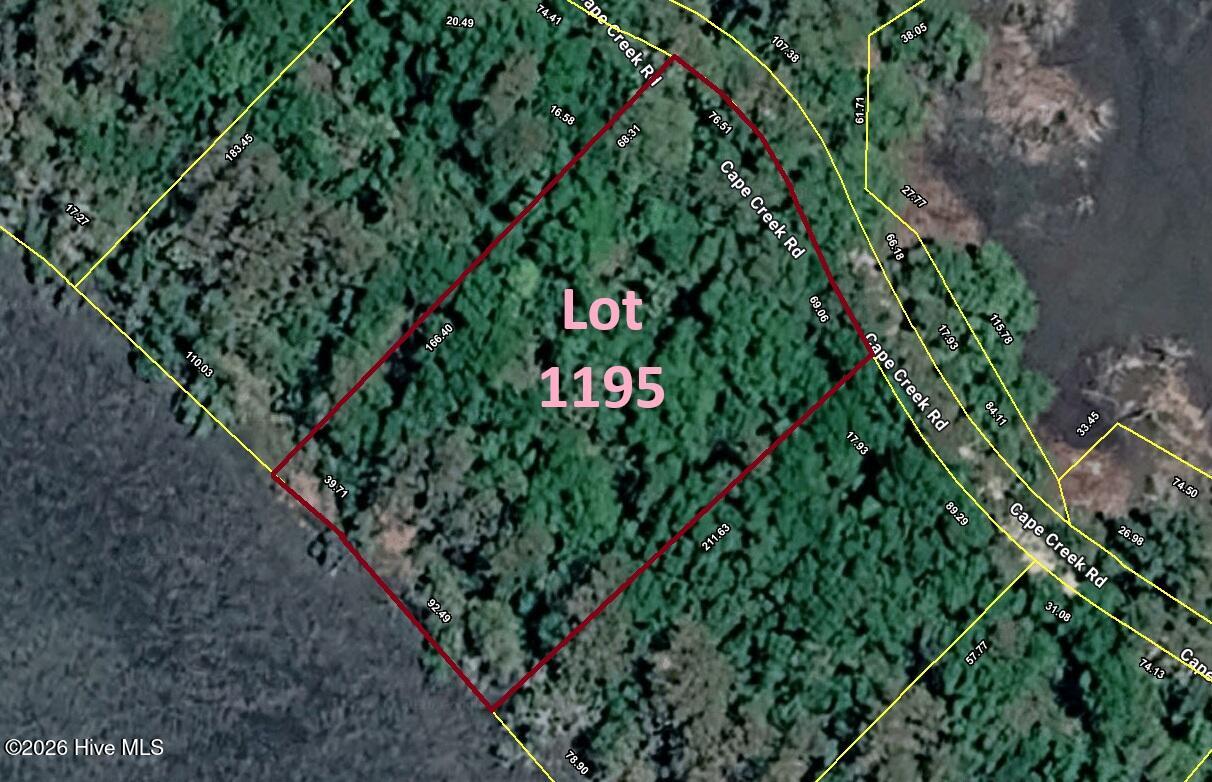 100566616 | Photo 10