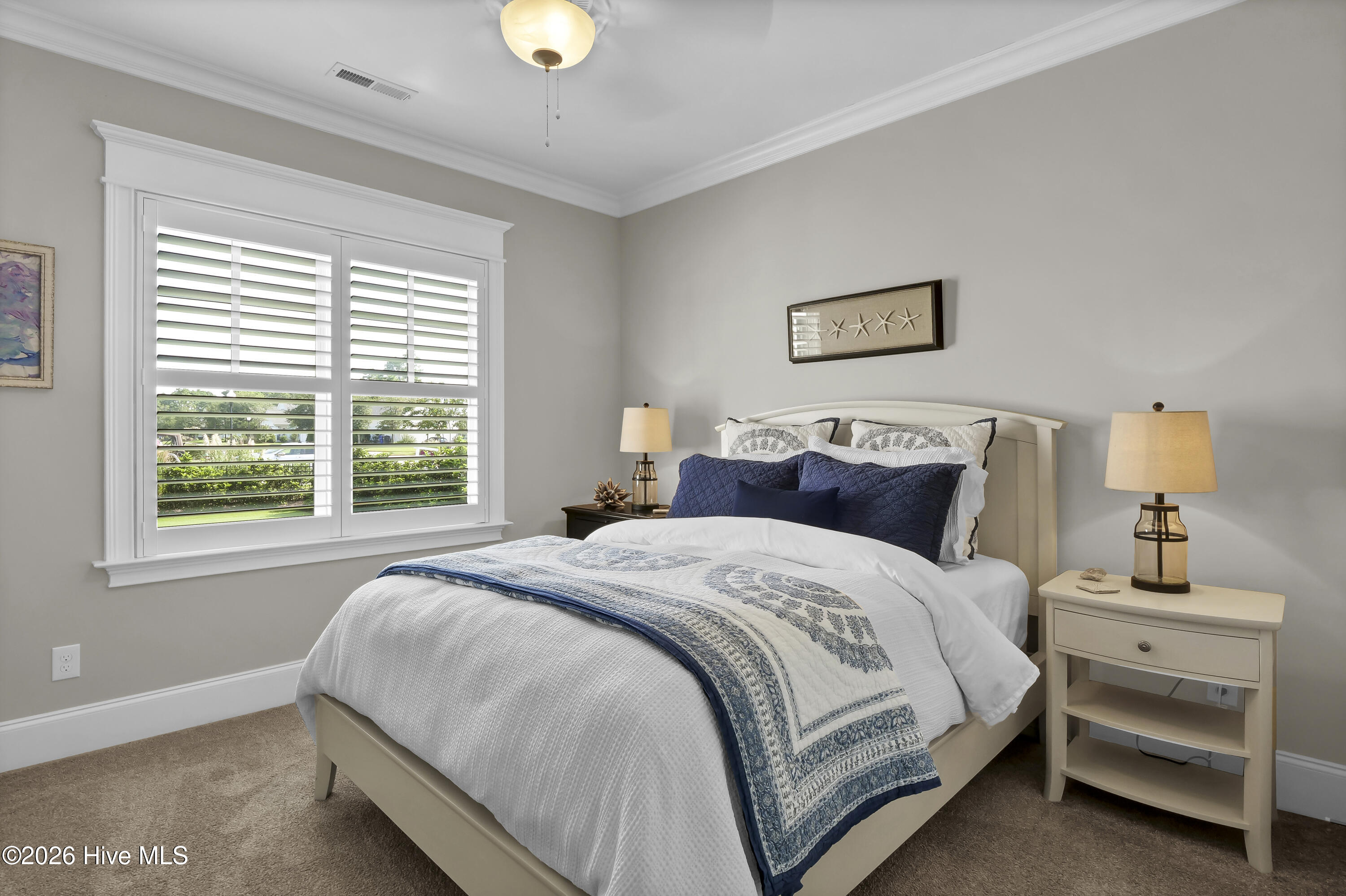 100569148 | Photo 32