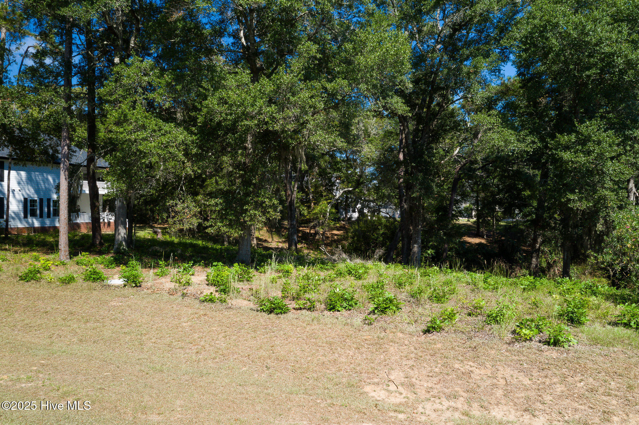 1884_Russellhewett-3