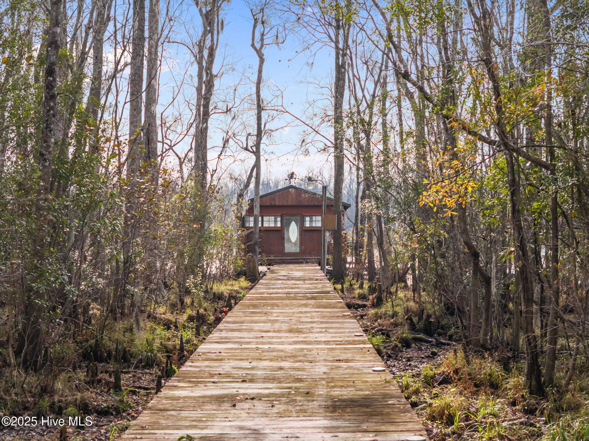 100536455 | Photo 55