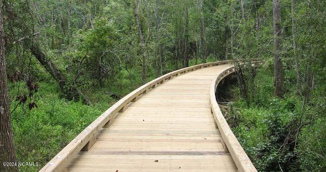 100528717 | Photo 22