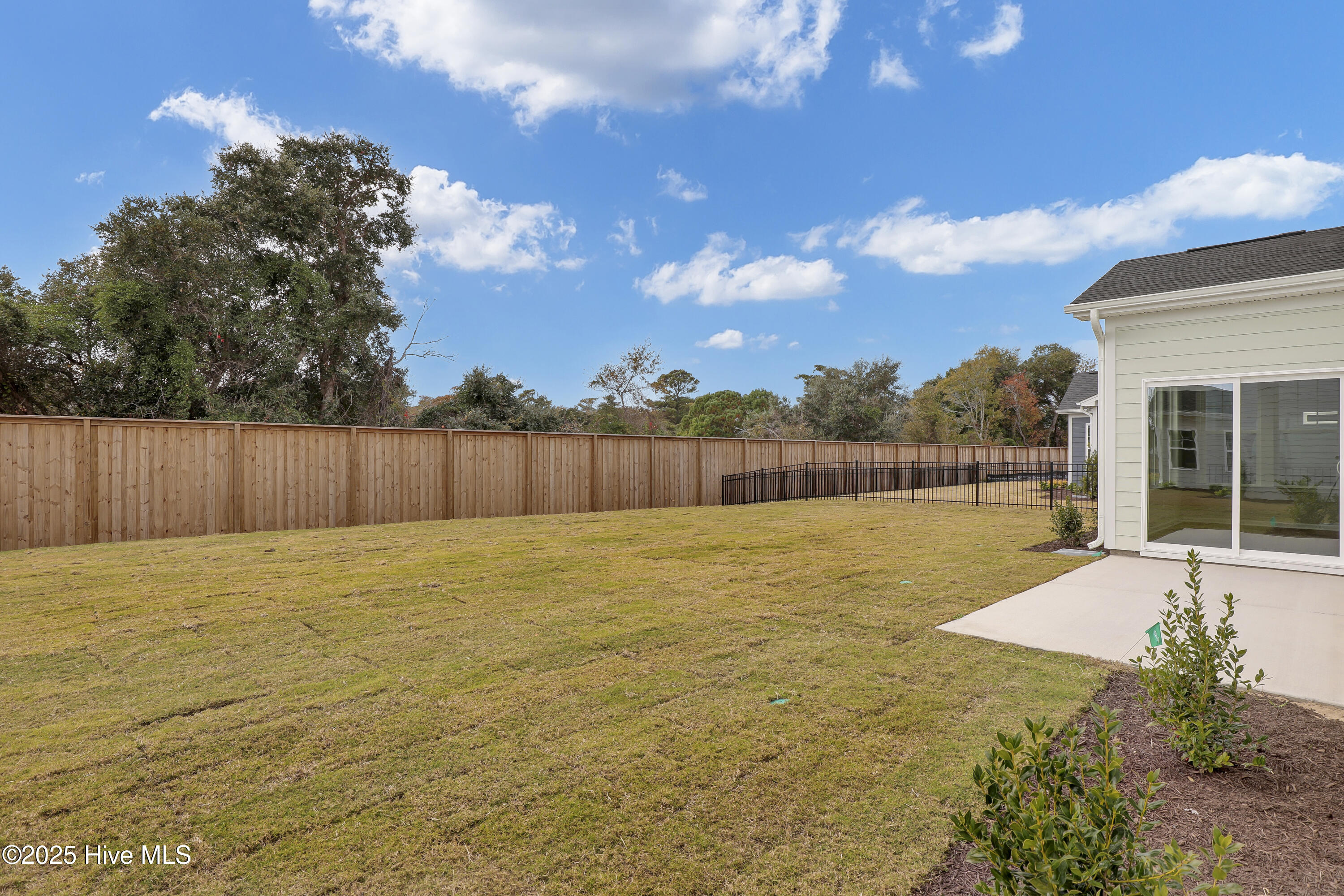 100518189 | Photo 28