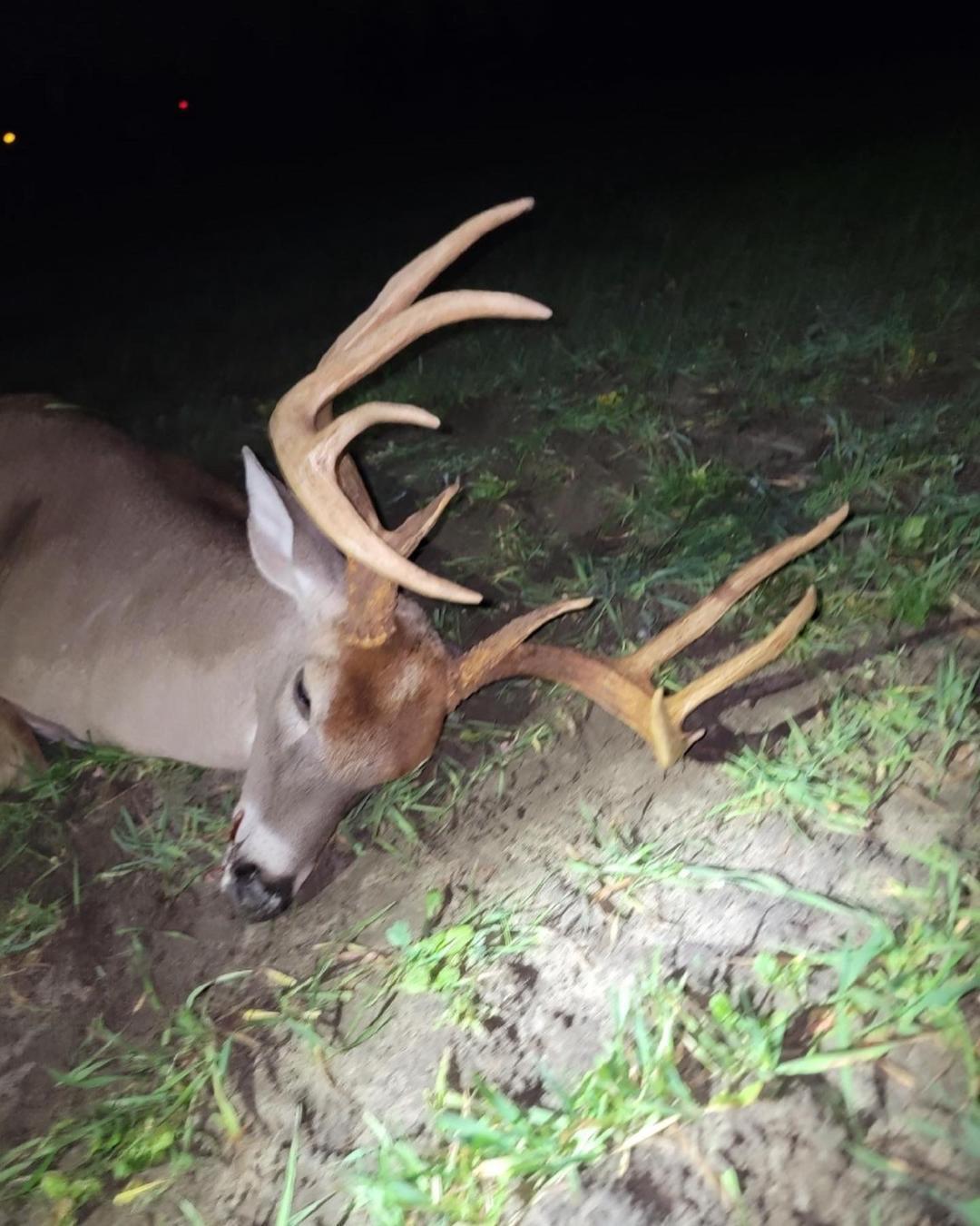 Homes for sale in Girard, GA | 0 Smith Chapel Rd, Girard, GA 30426 | MLS# 543848