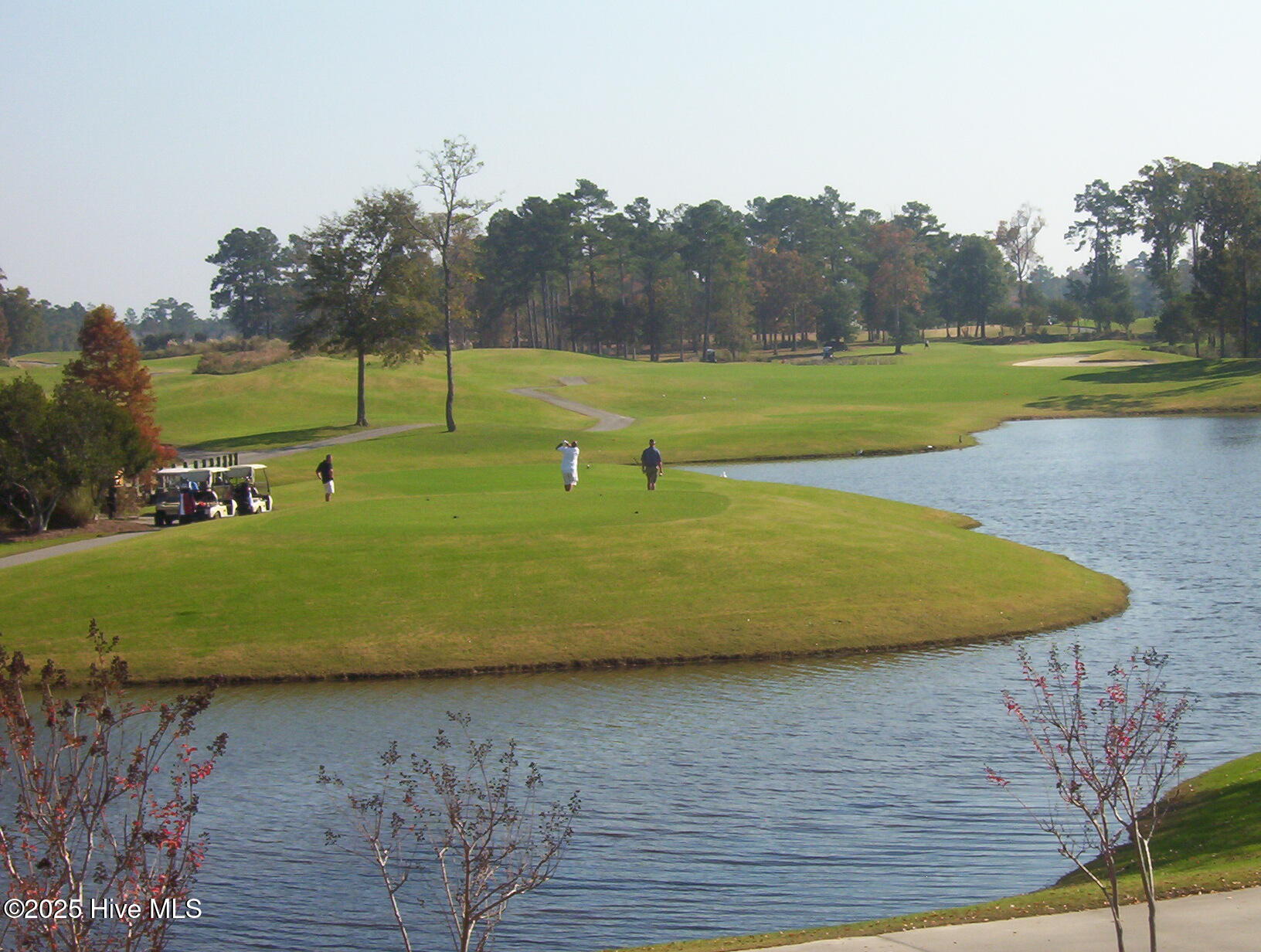 100560502 | Photo 12