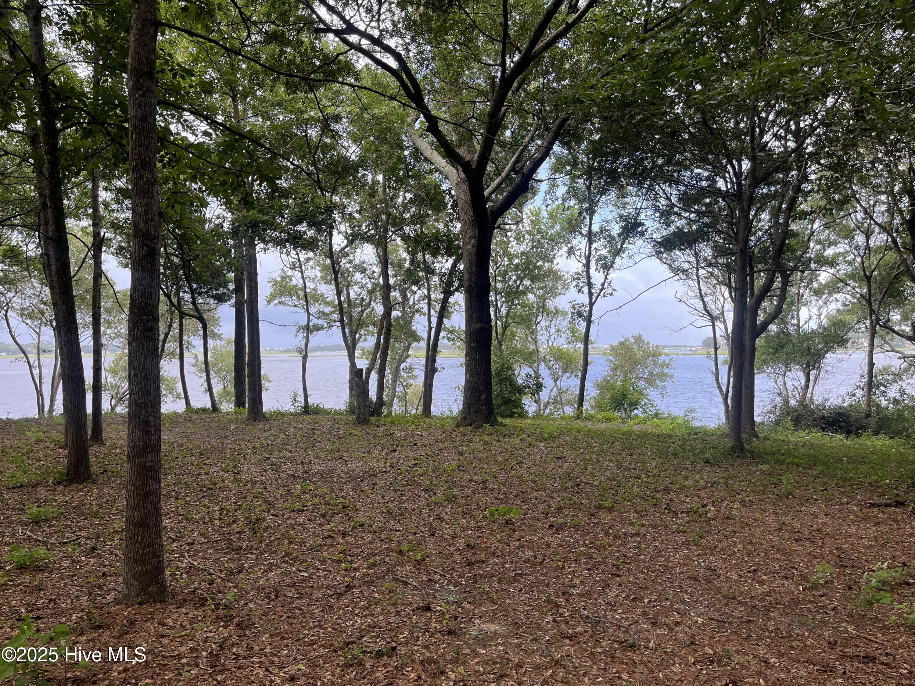 100525260 | Photo 10