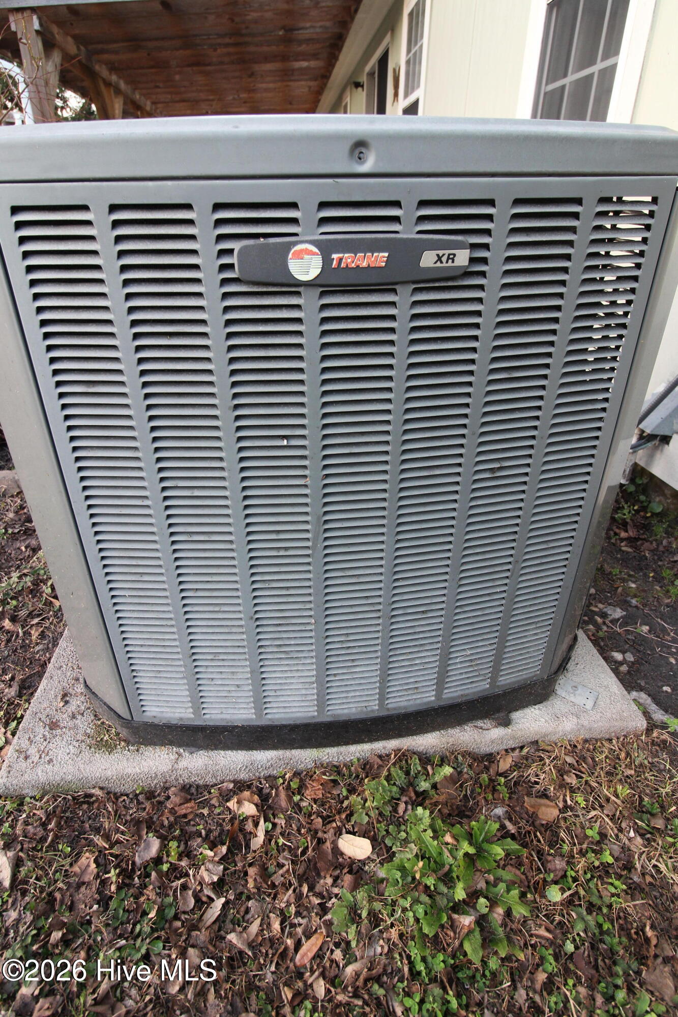 100558935 | Photo 46