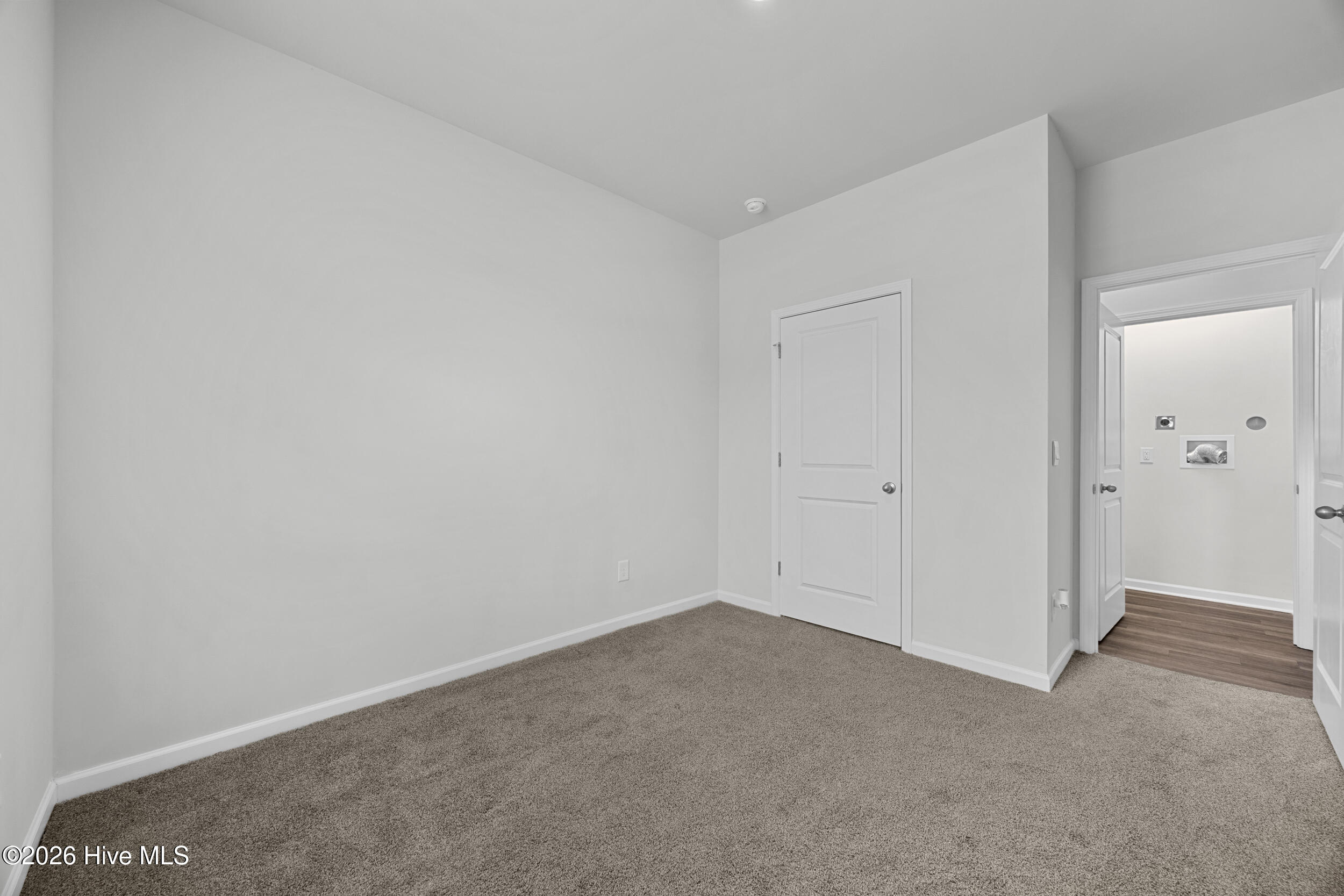 100565485 | Photo 12