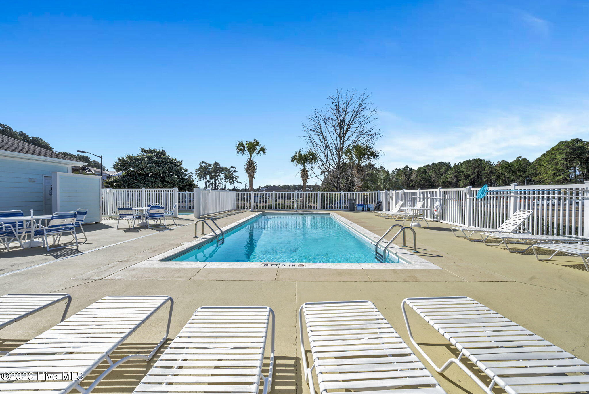 100556541 | Photo 23