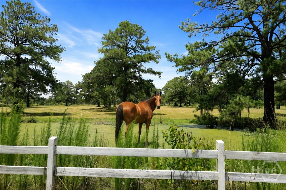 5747 Ogeechee, Savannah, Georgia, 0 ,Land,For sale,Ogeechee,SA333130