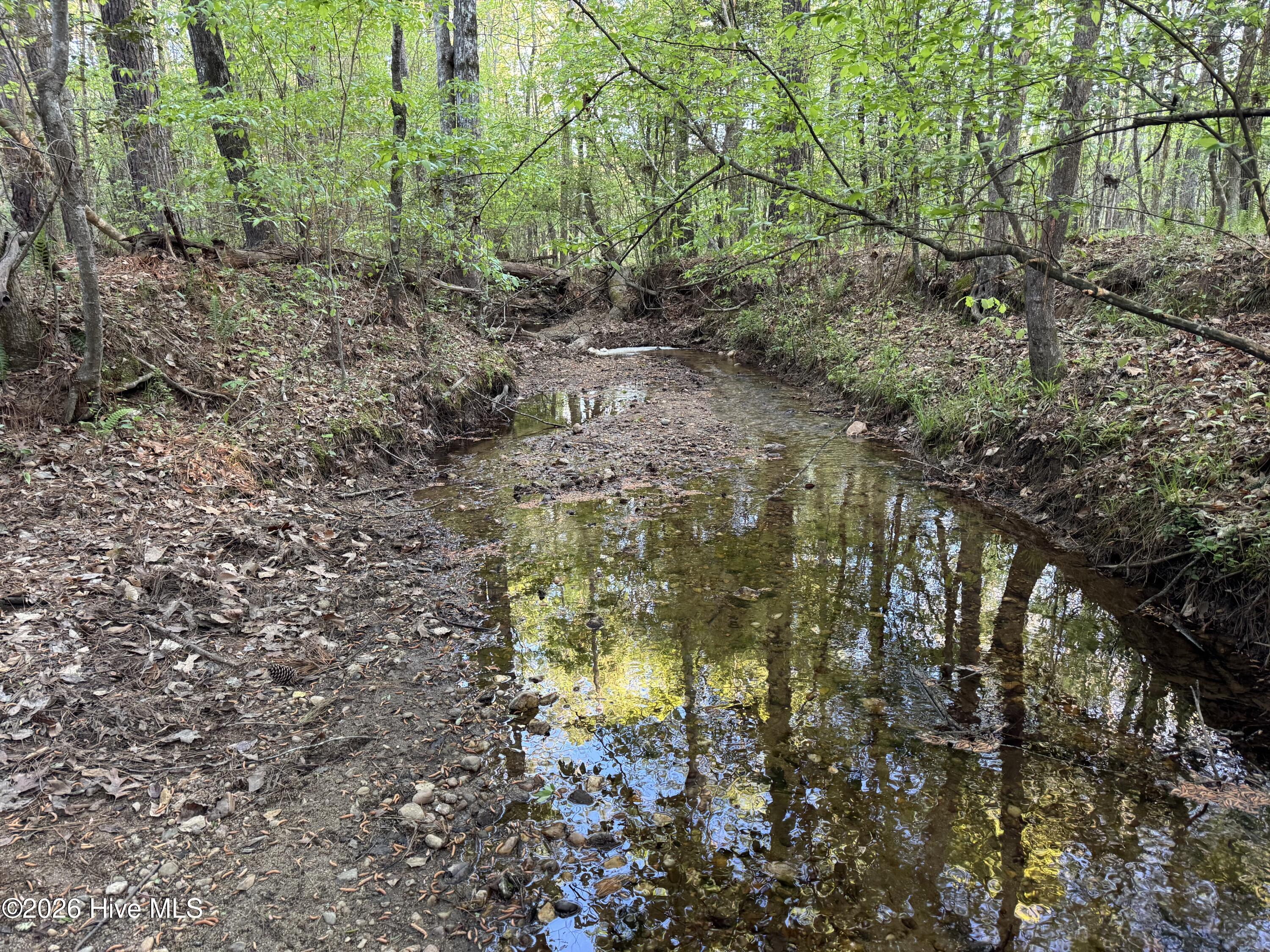 Cartledge Creek