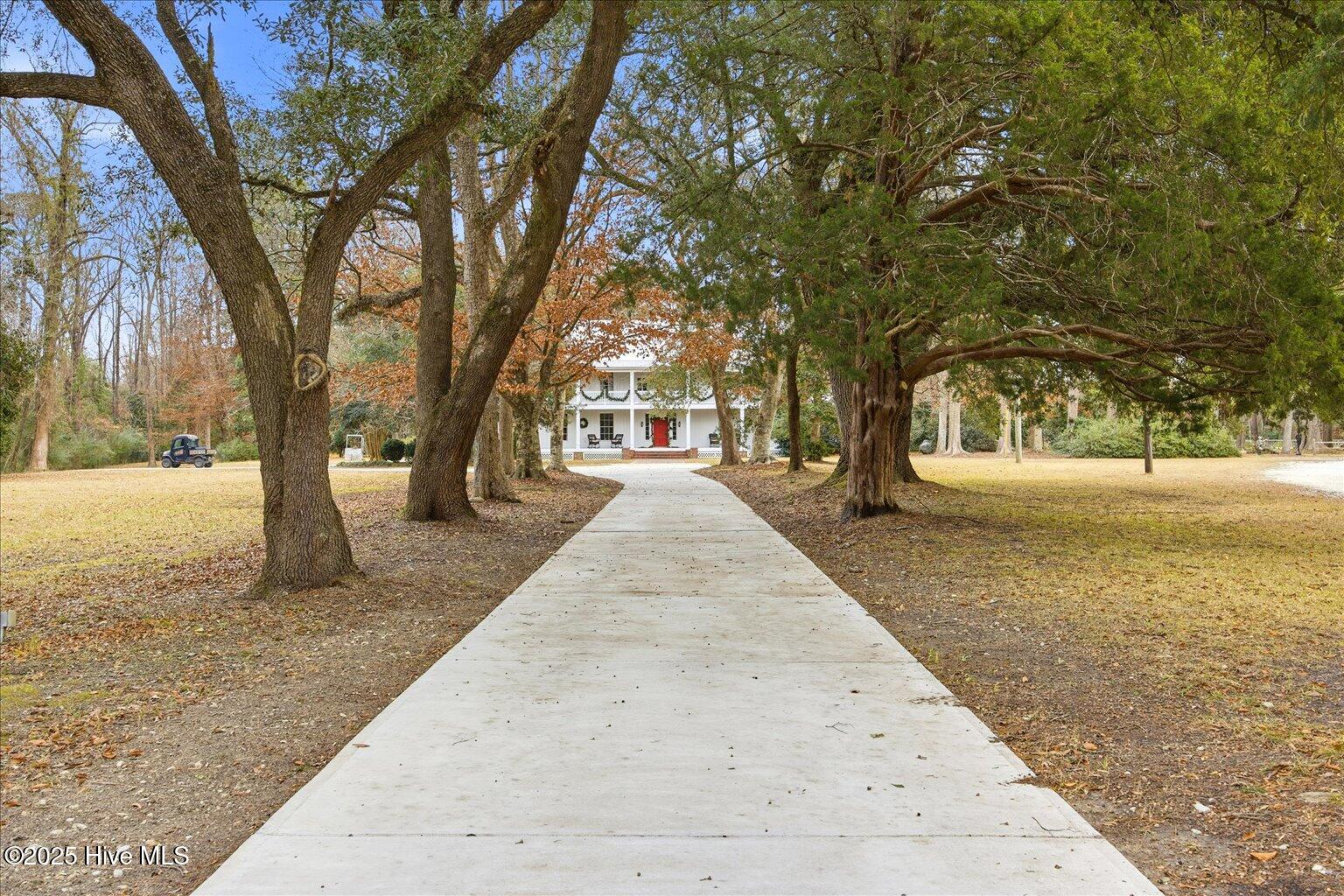 100545633 | Photo 12