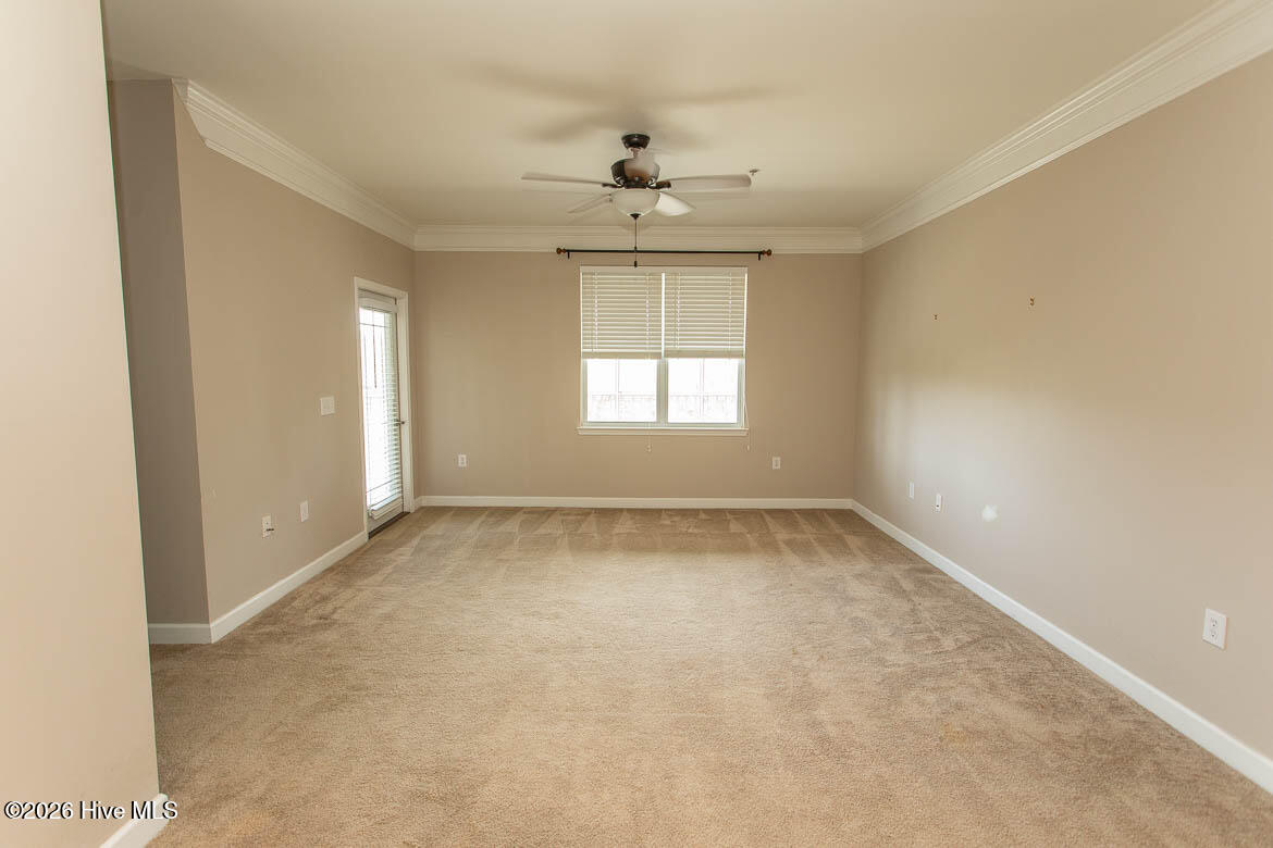 100564838 | Photo 12