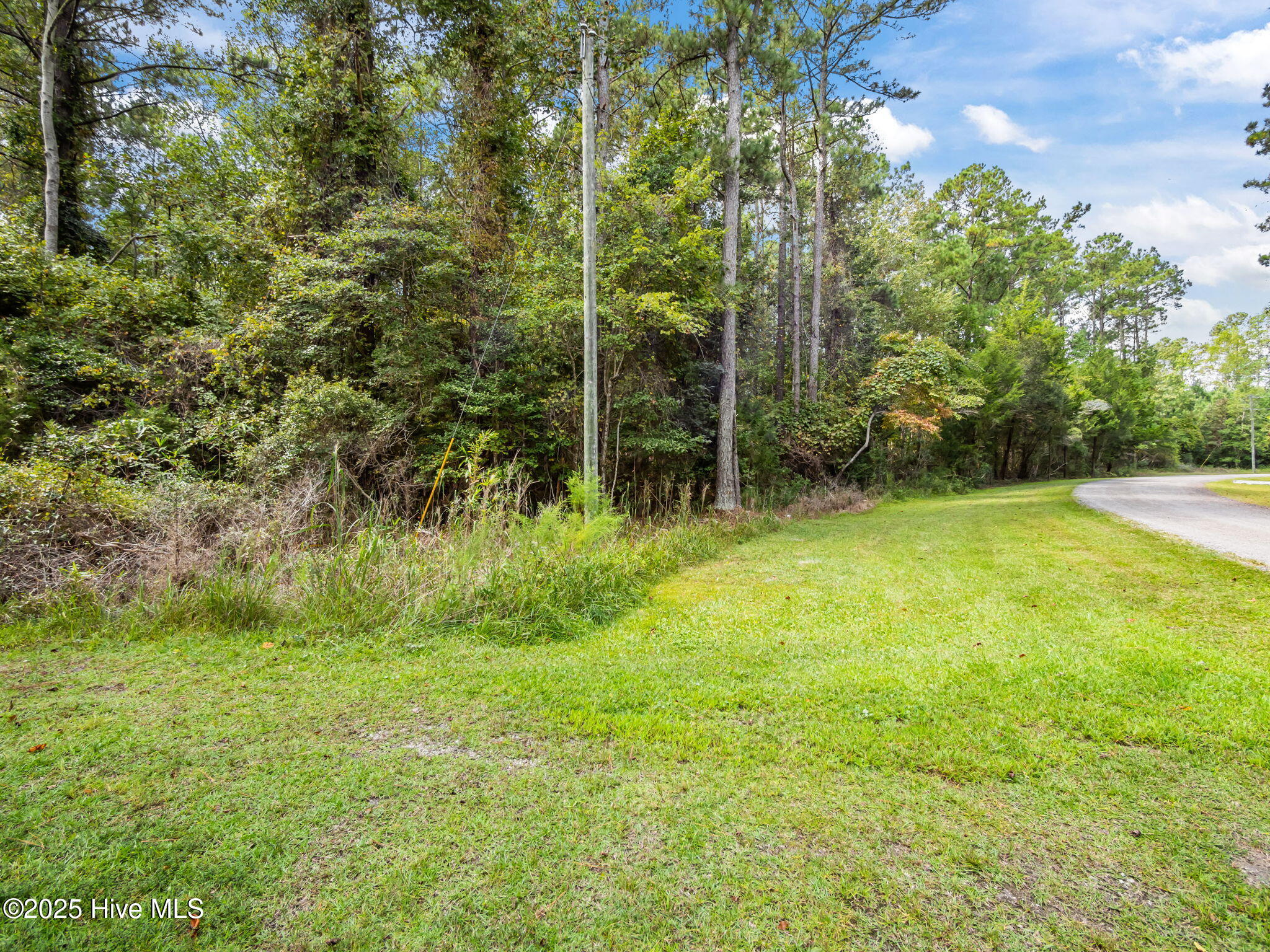 100535245 | Photo 15