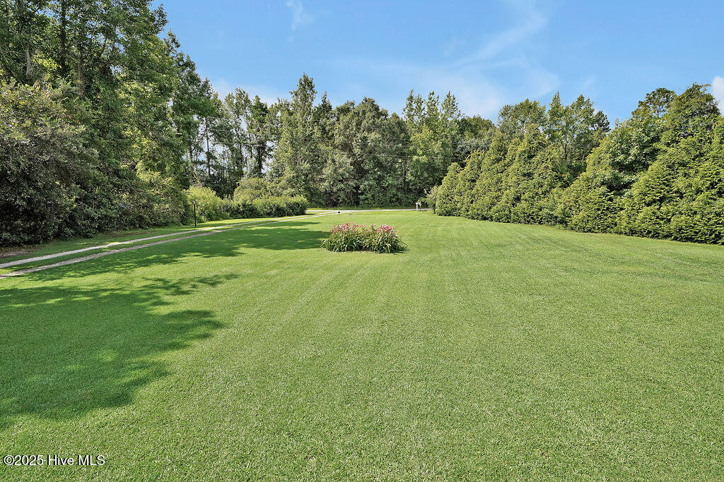 100521494 | Photo 48