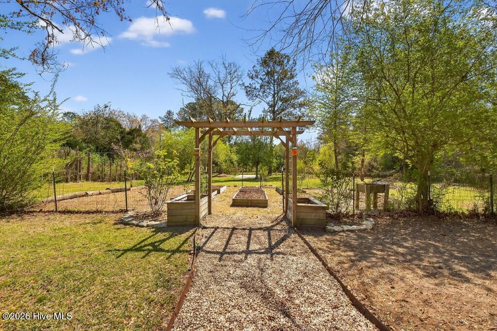 100562311 | Photo 18