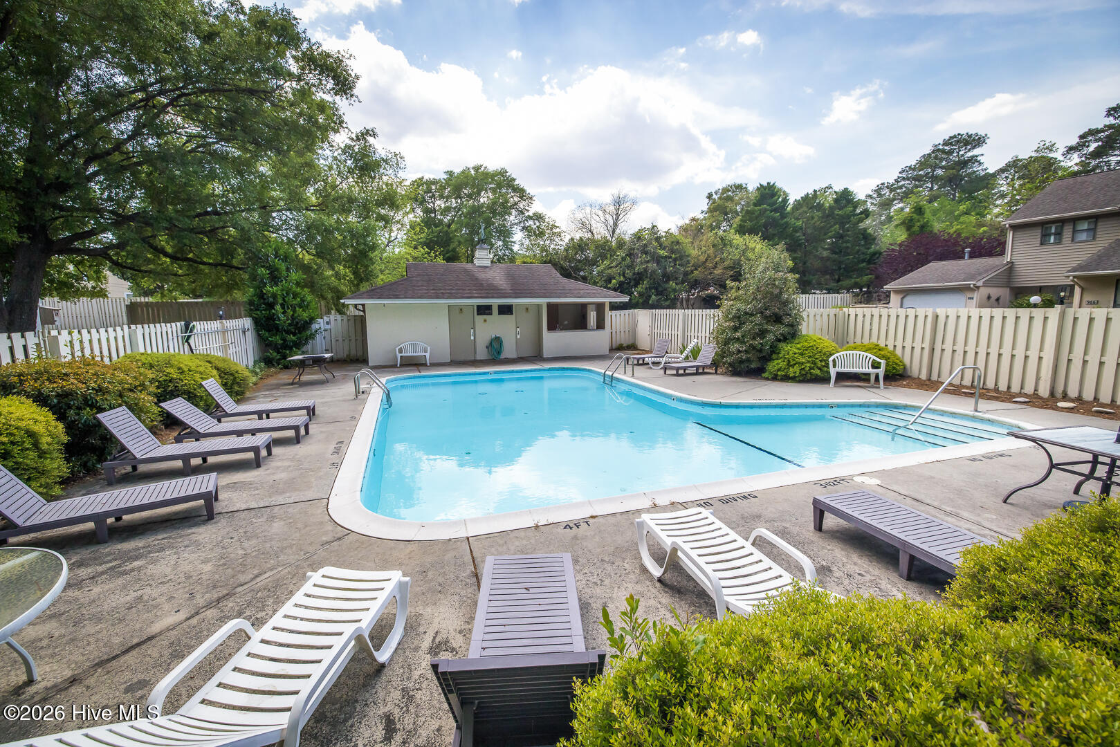 100567936 | Photo 26