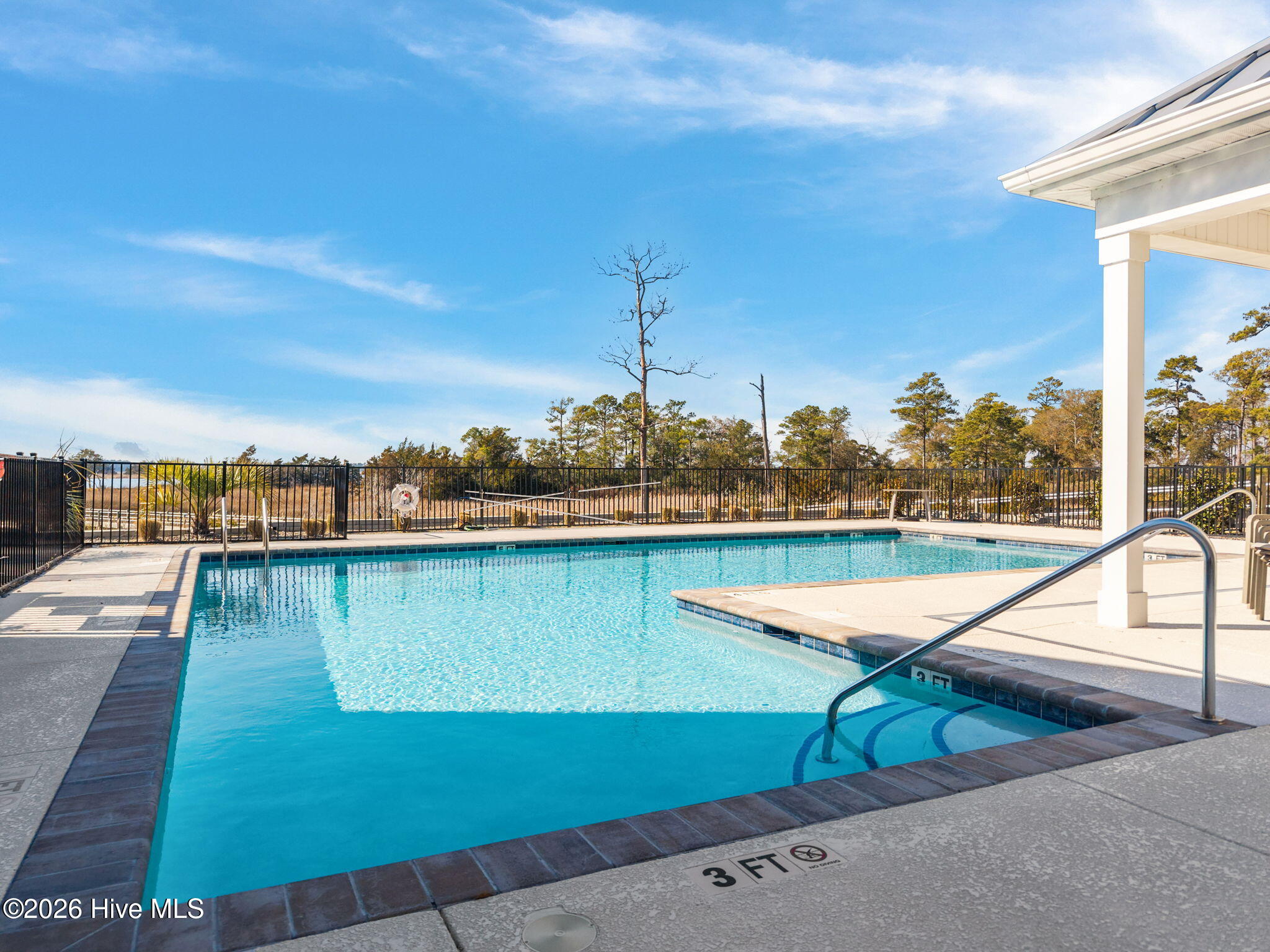 100555549 | Photo 51