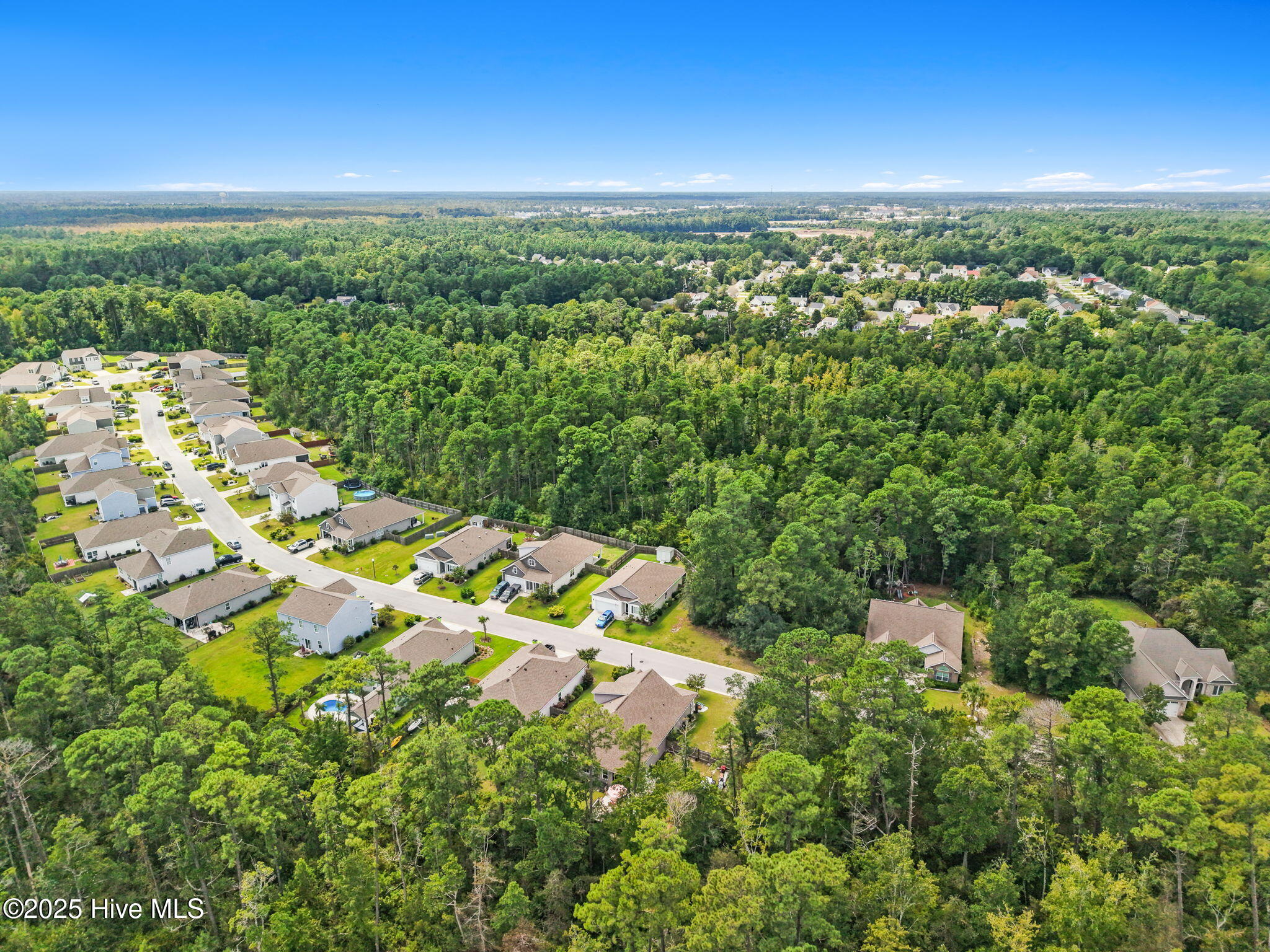 100531628 | Photo 43