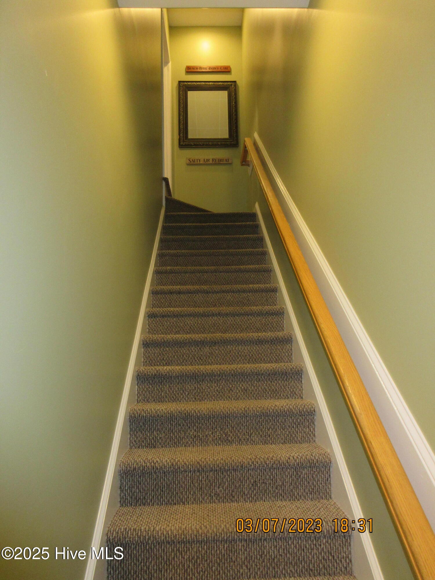 100525203 | Photo 18