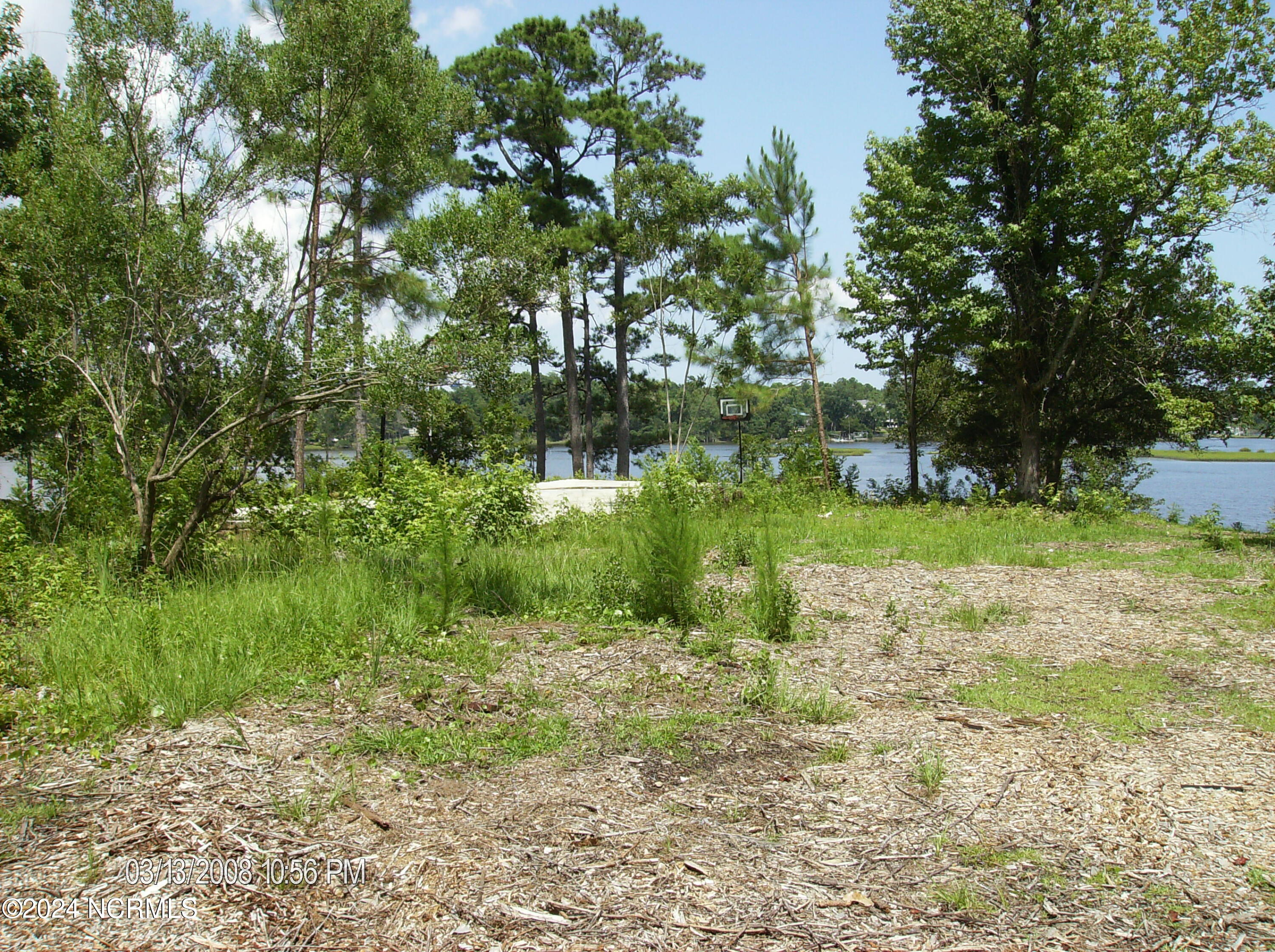 100459074 | Photo 13