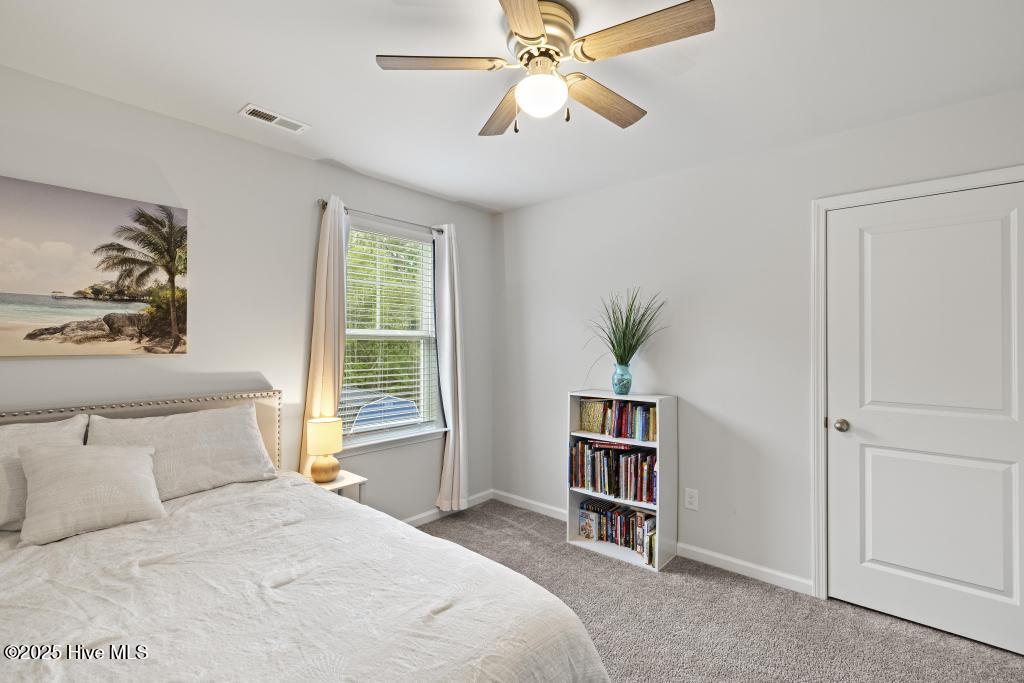 100536703 | Photo 23