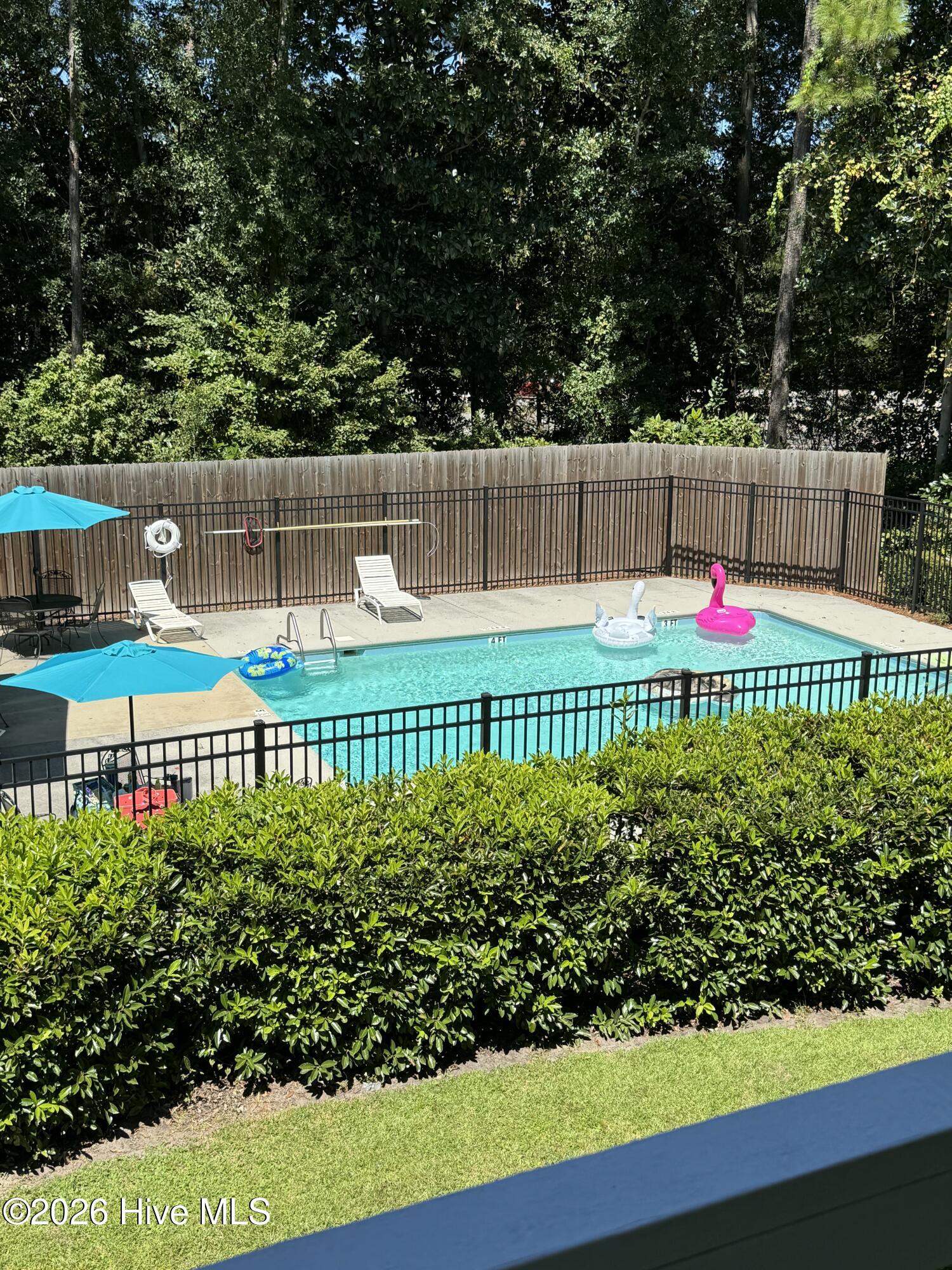 100557540 | Photo 39