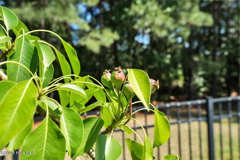 100565738 | Photo 42