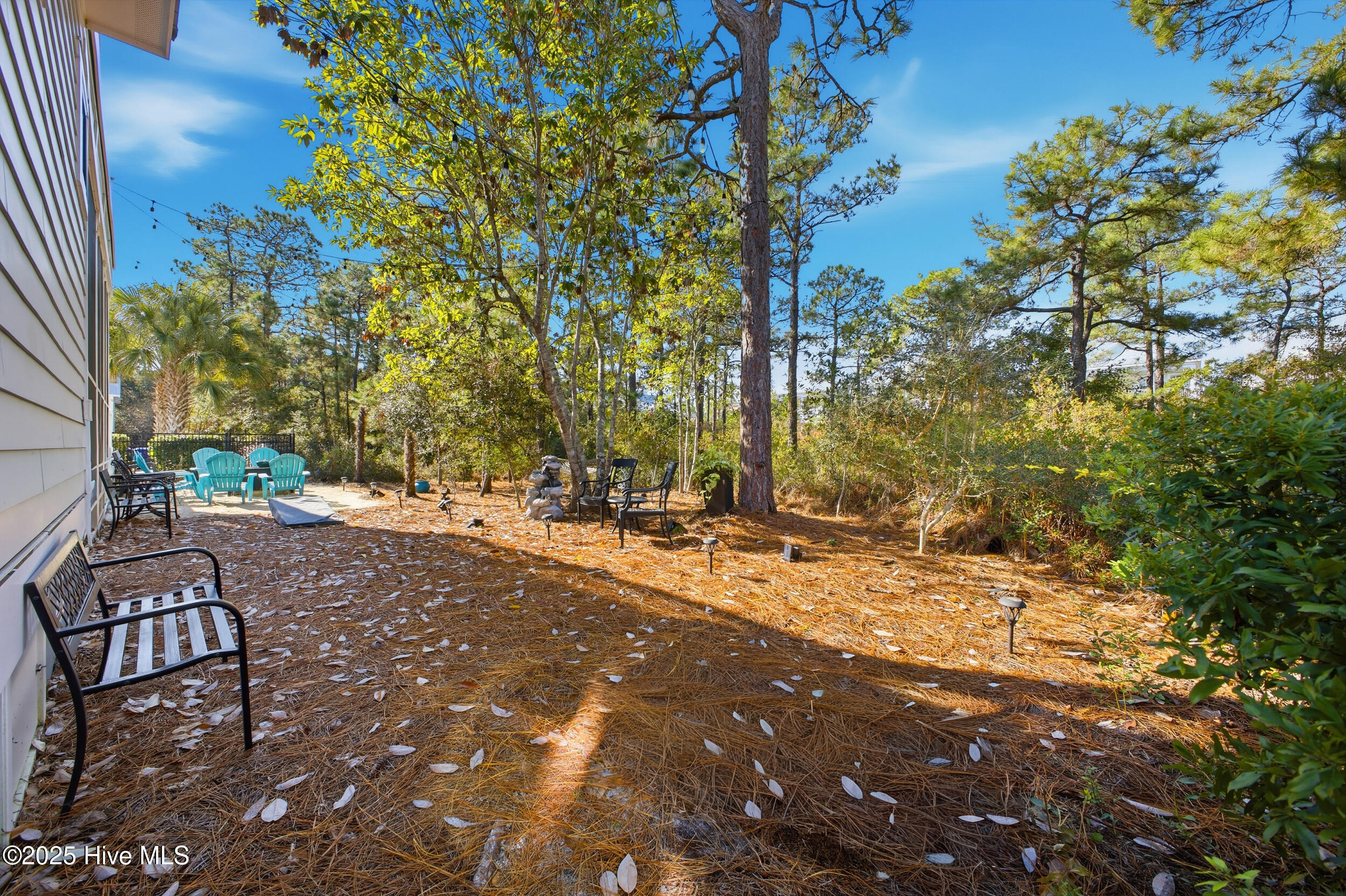 100543179 | Photo 64