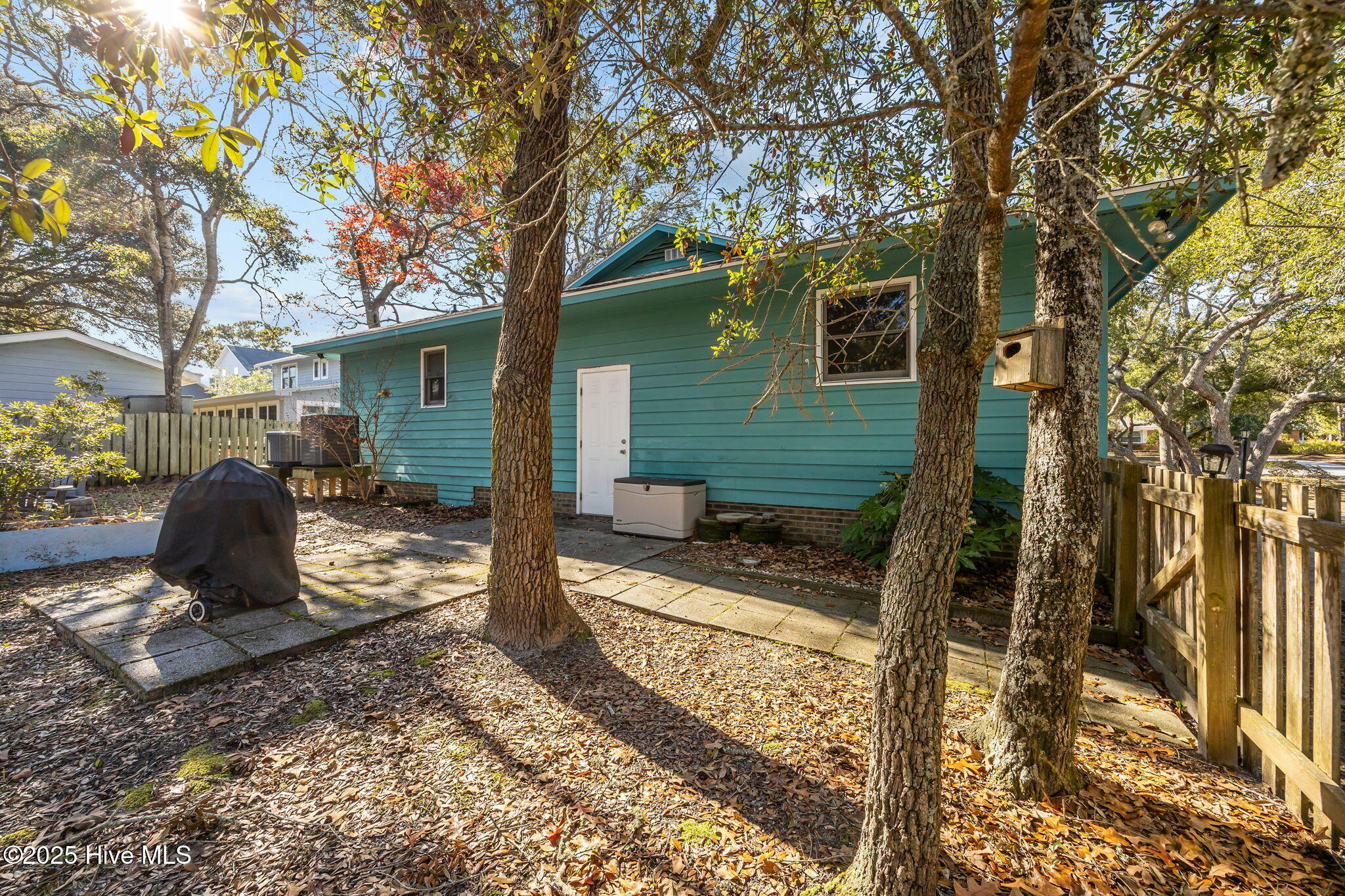 100522613 | Photo 43