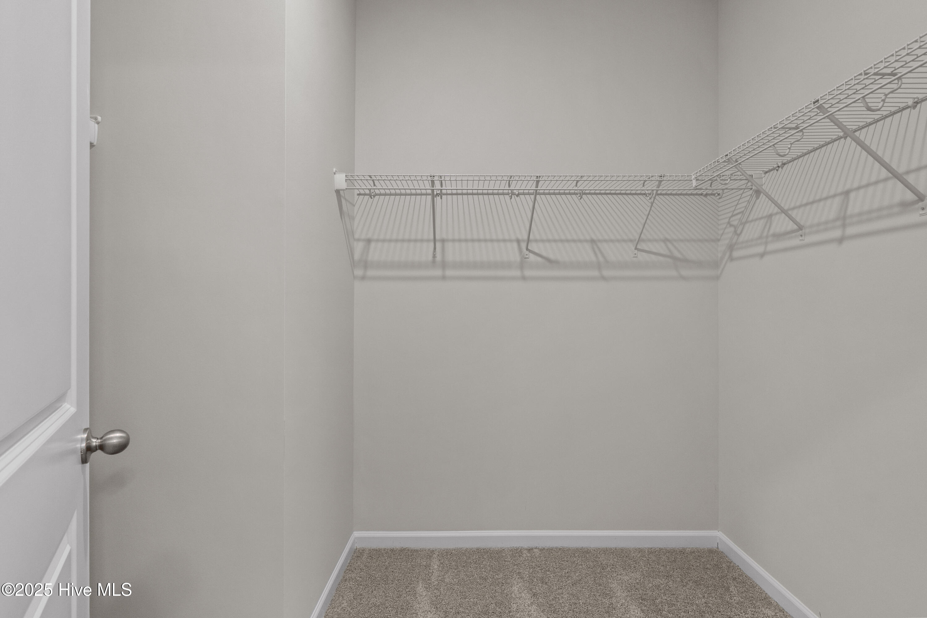 100536567 | Photo 23