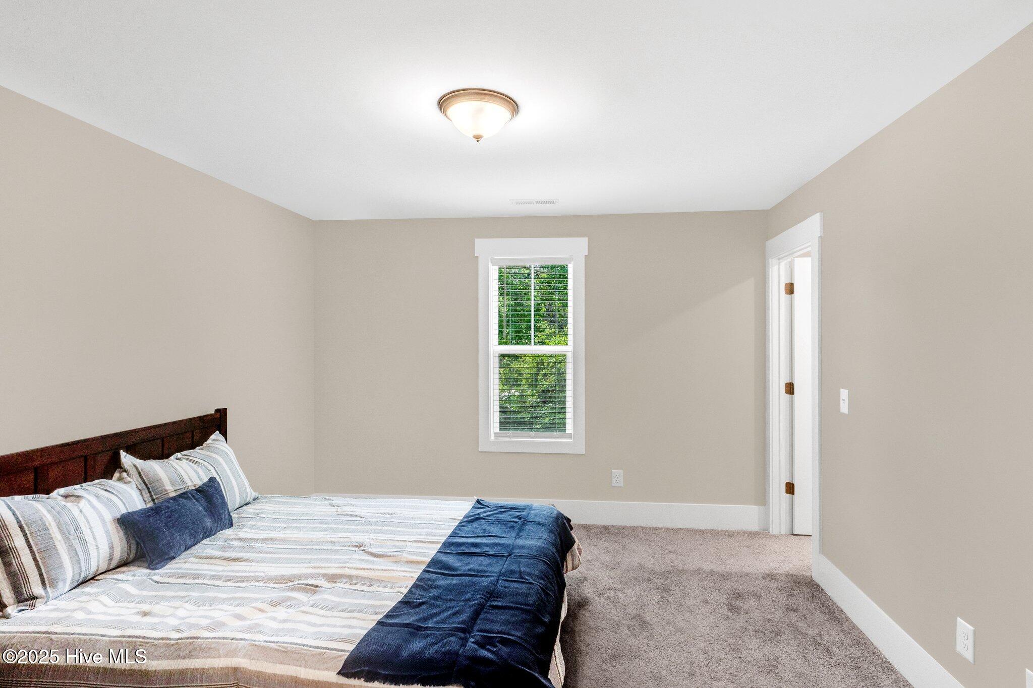 100556844 | Photo 13